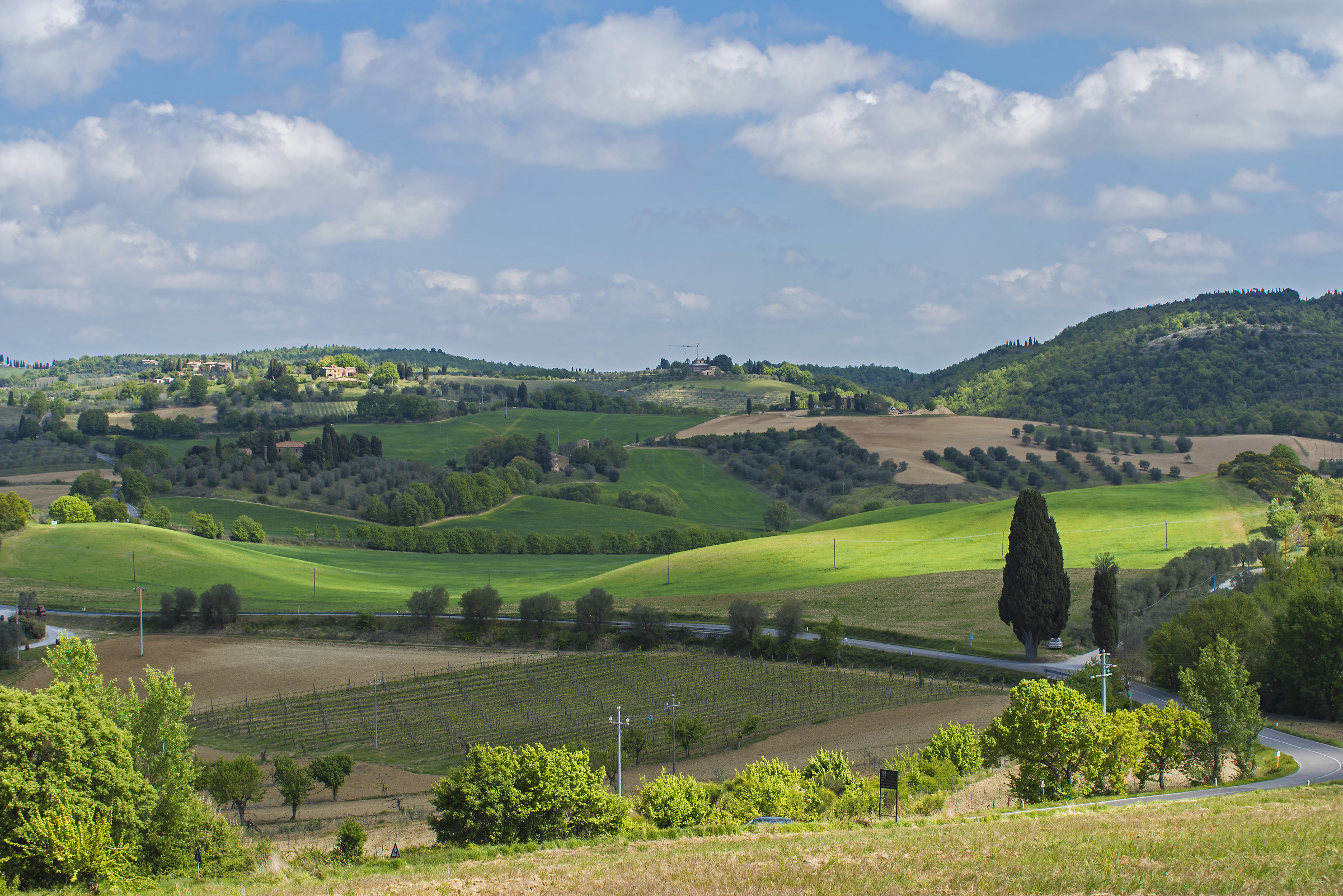 Val d'Orcia
