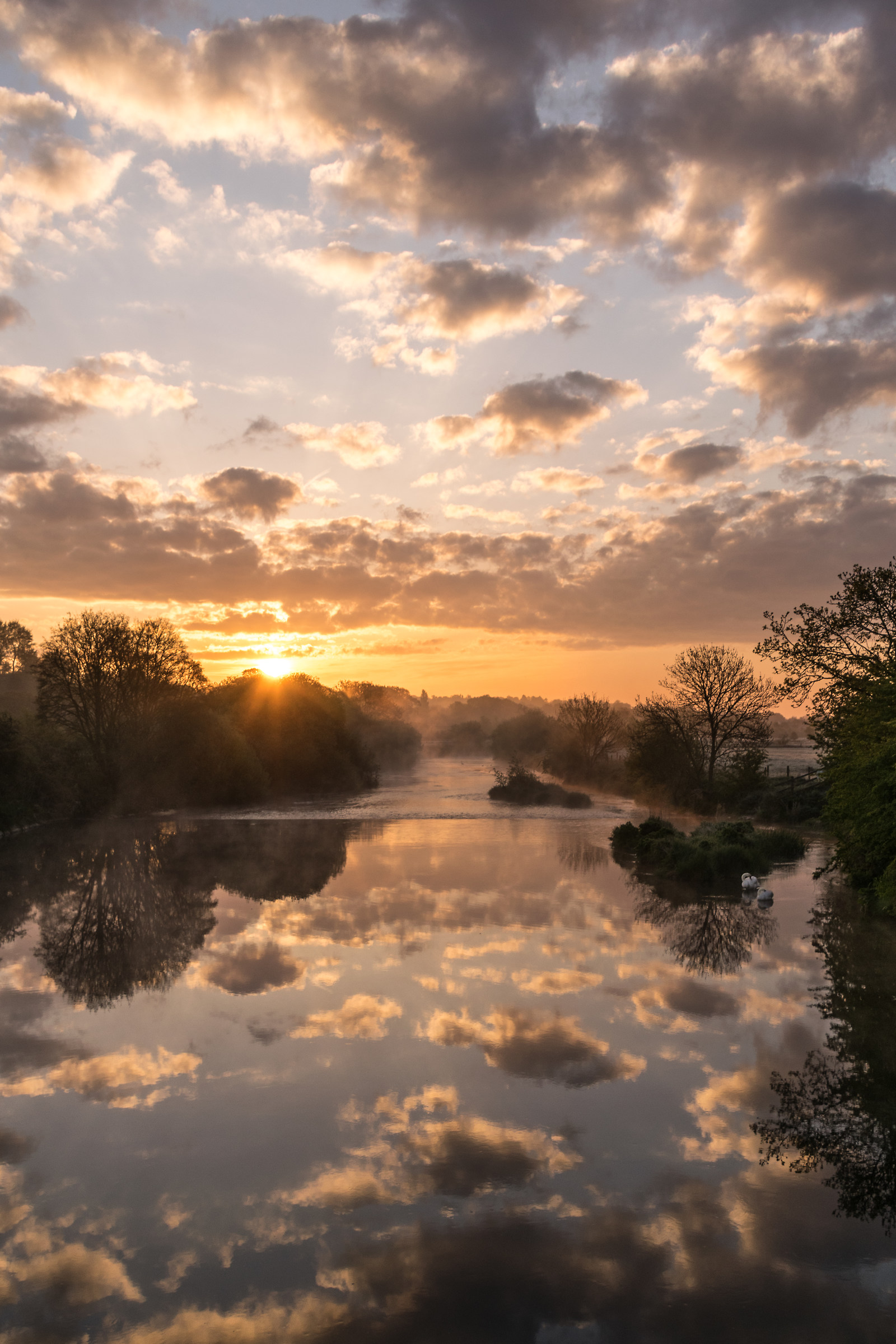 Riflessioni all'alba