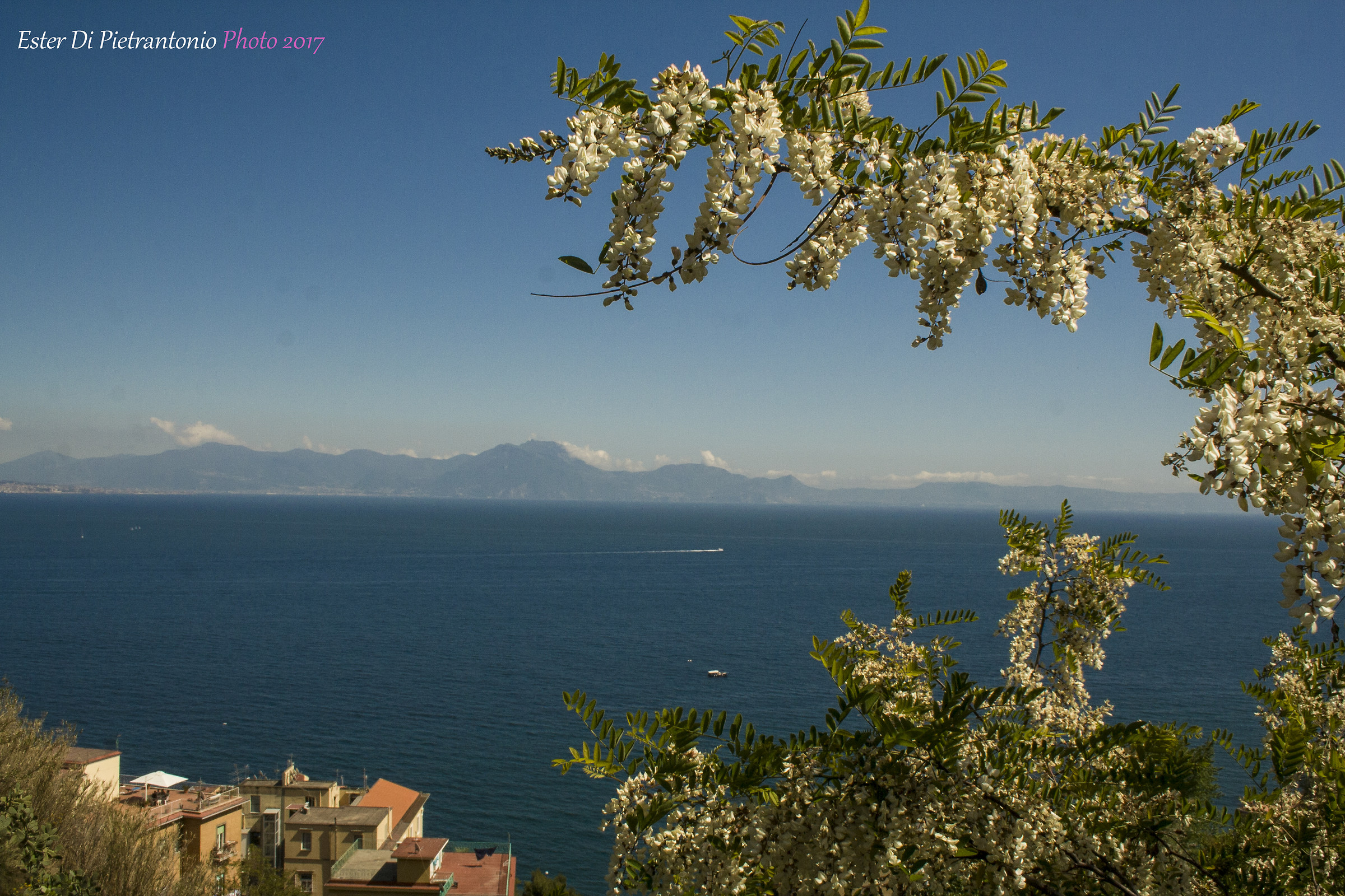 Via Francesco Petrarca, Naples