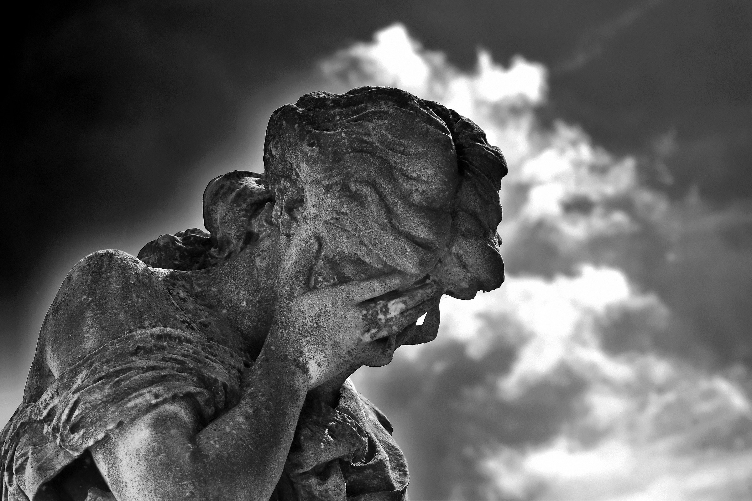 Vedova inconsolabile 2