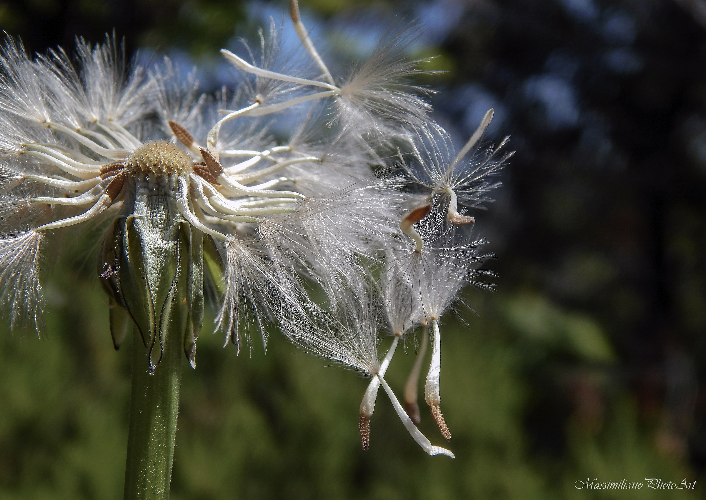 A volte basta un alito di vento ed è magia...
