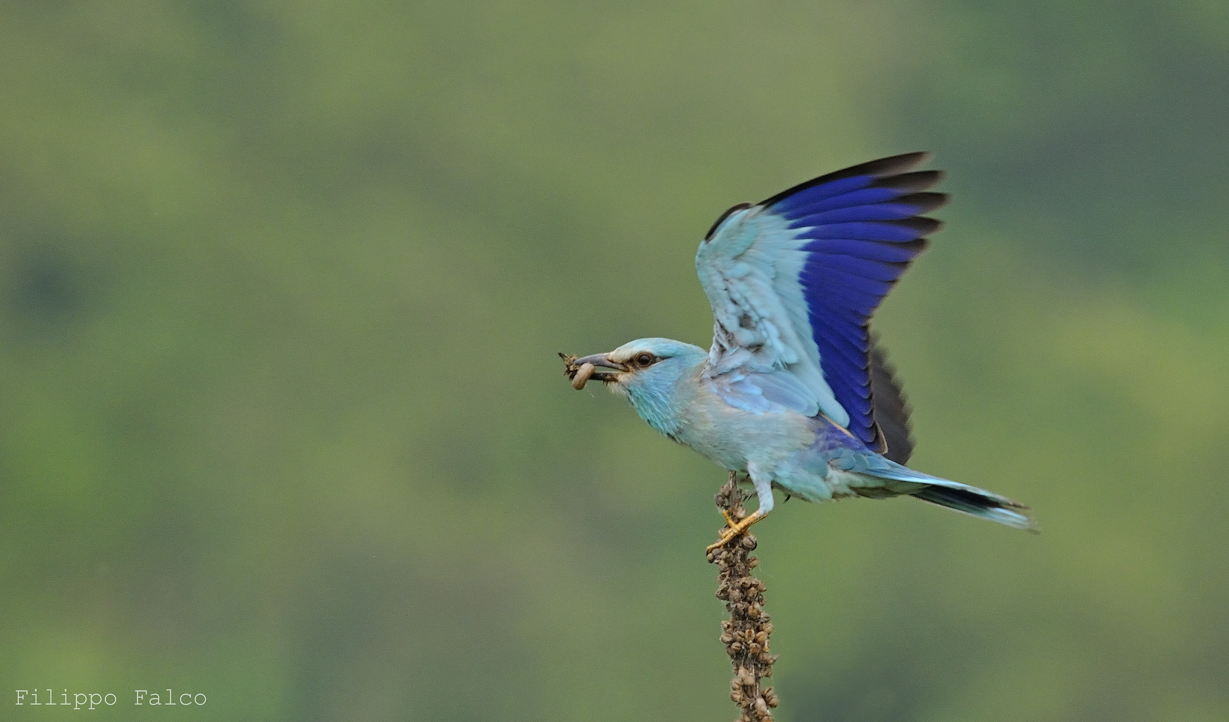 Aperitivo al volo...