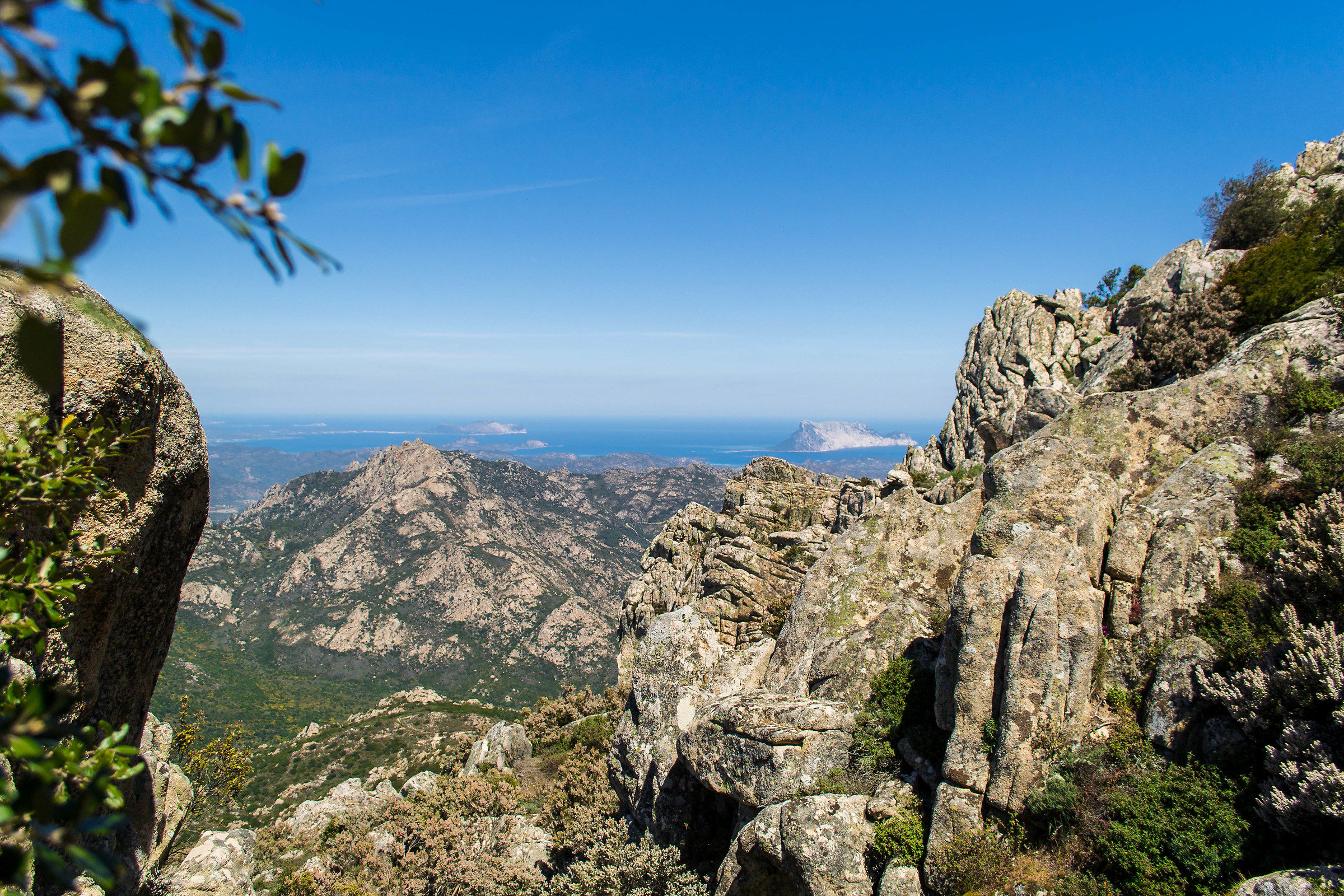 Tavolara from Monte Nieddu