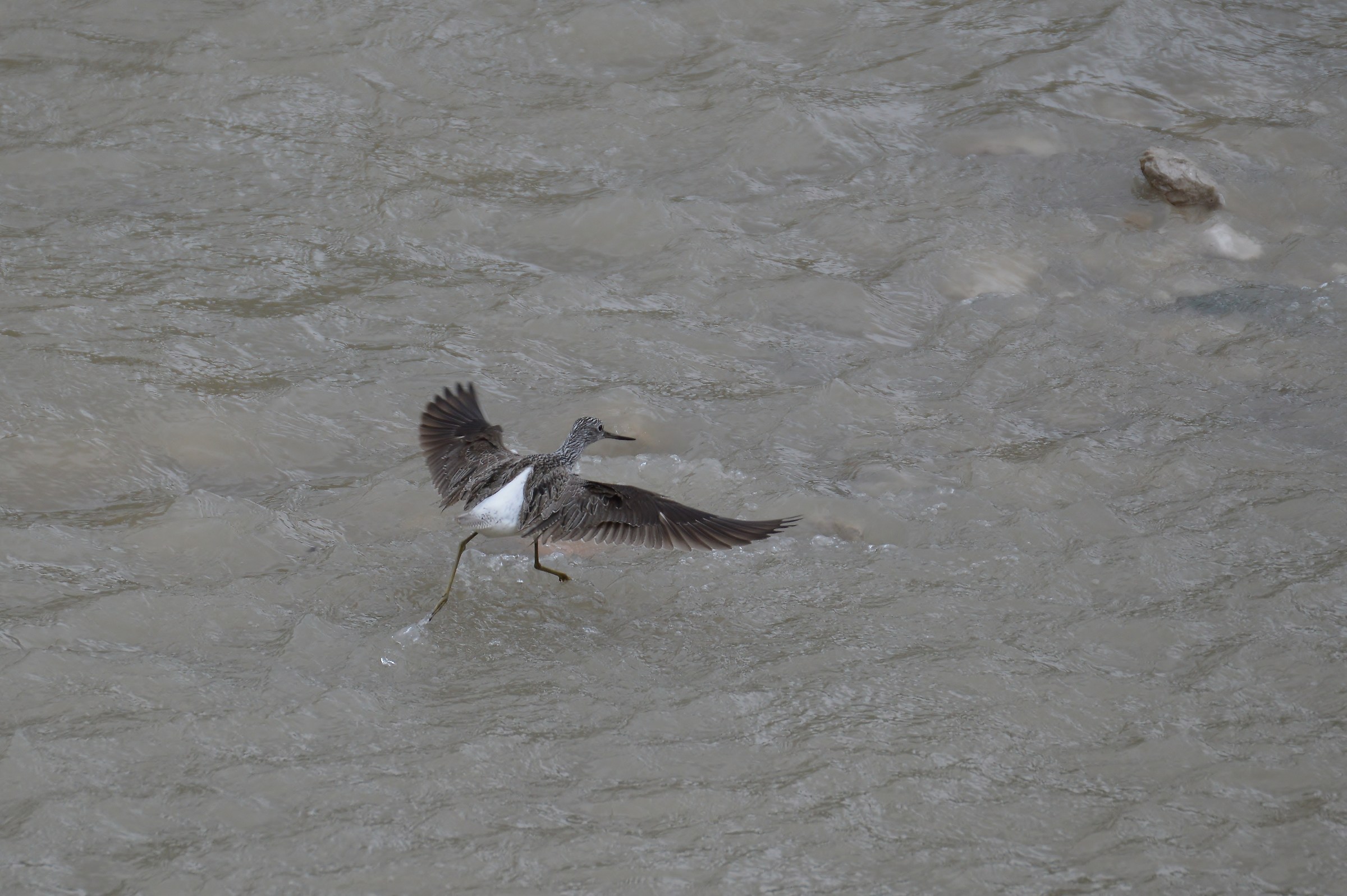 pantana- atterraggio