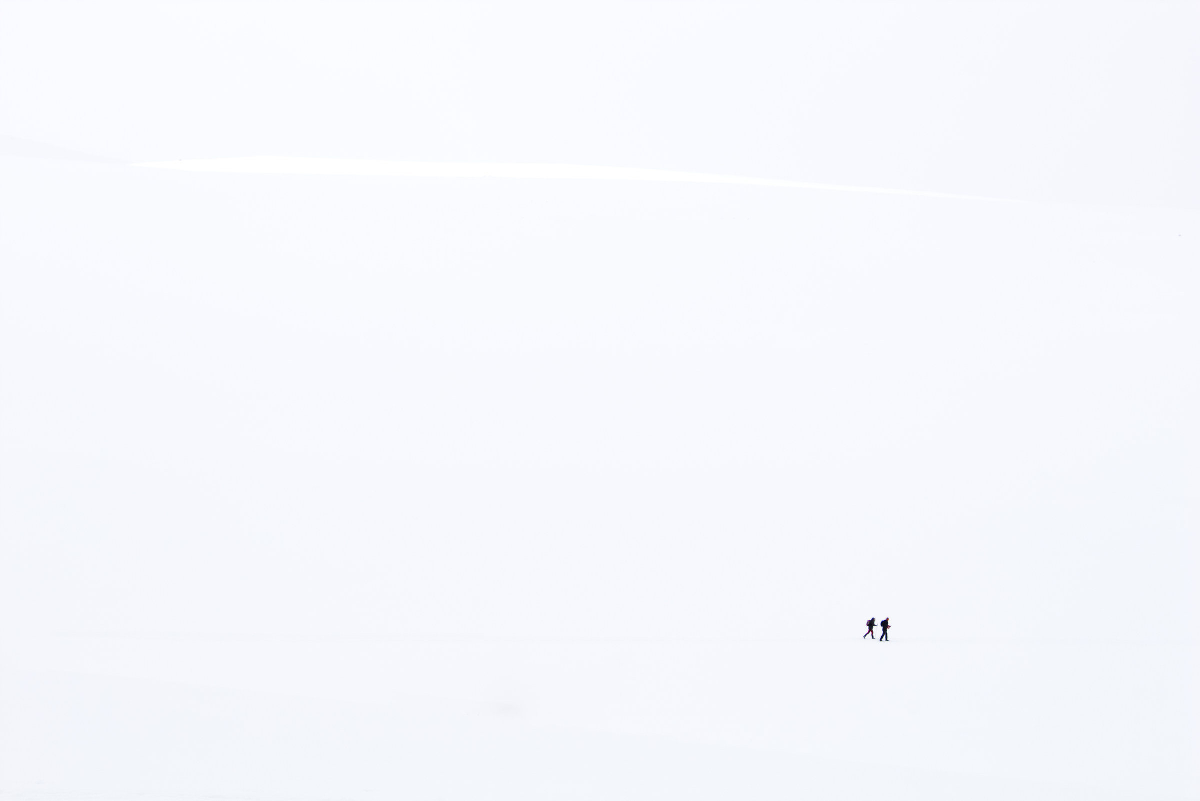 White, White, White.