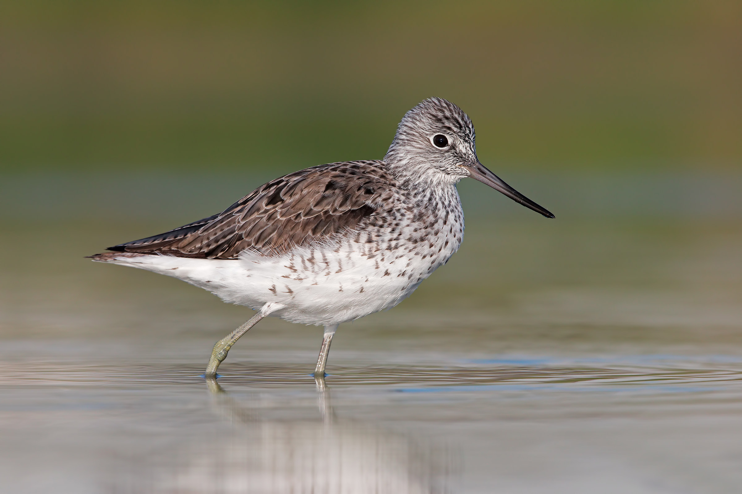 5K for brother Magno