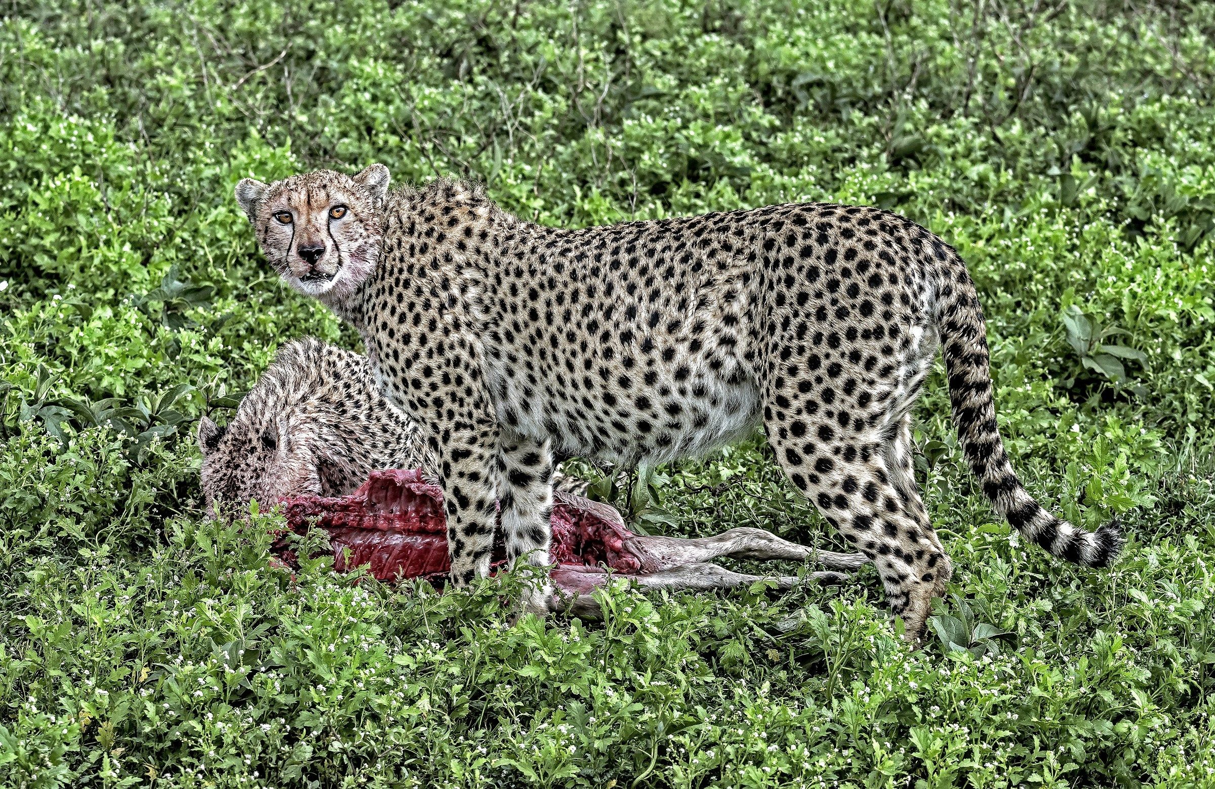 Tanzania 2017 - In the rain