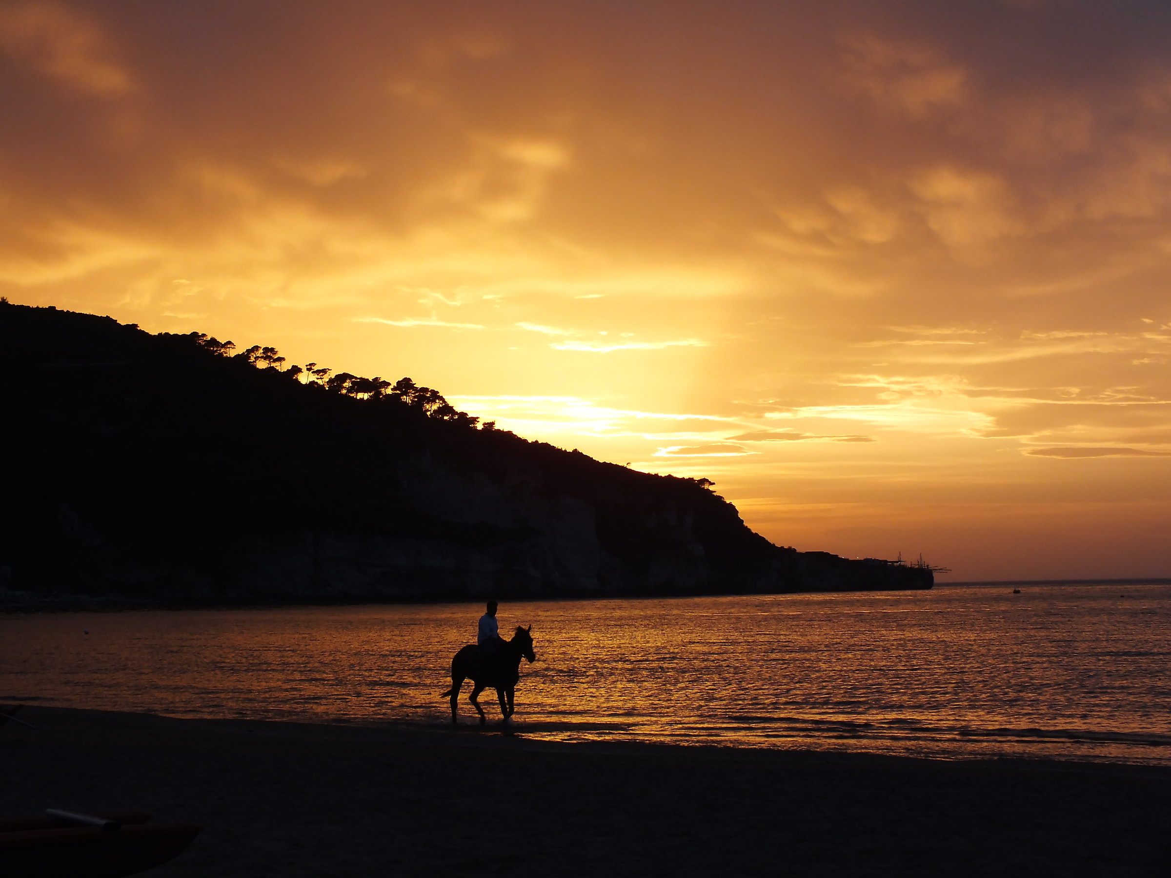Gallop on the Gargano