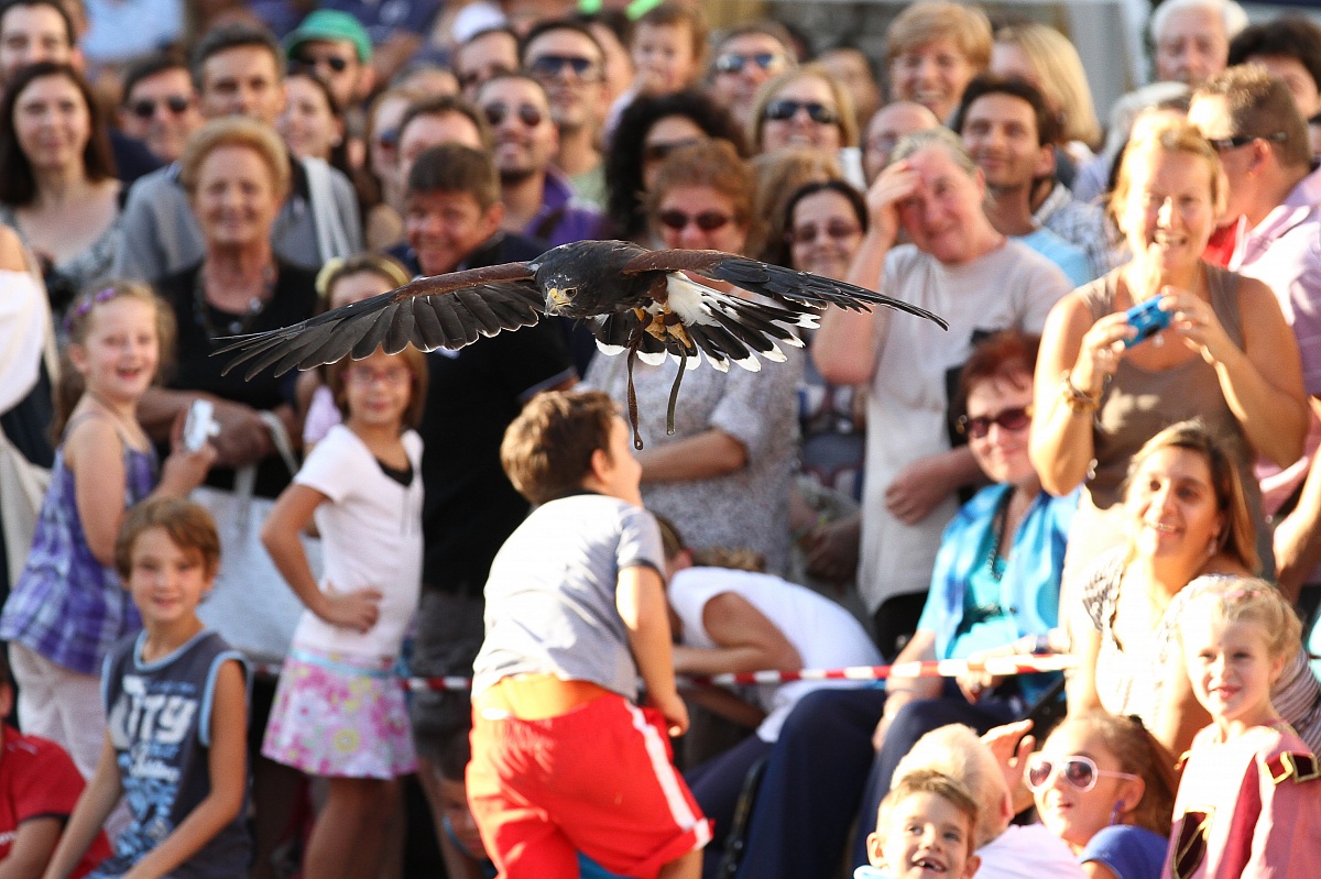 sorvolo a bassa quota 2
