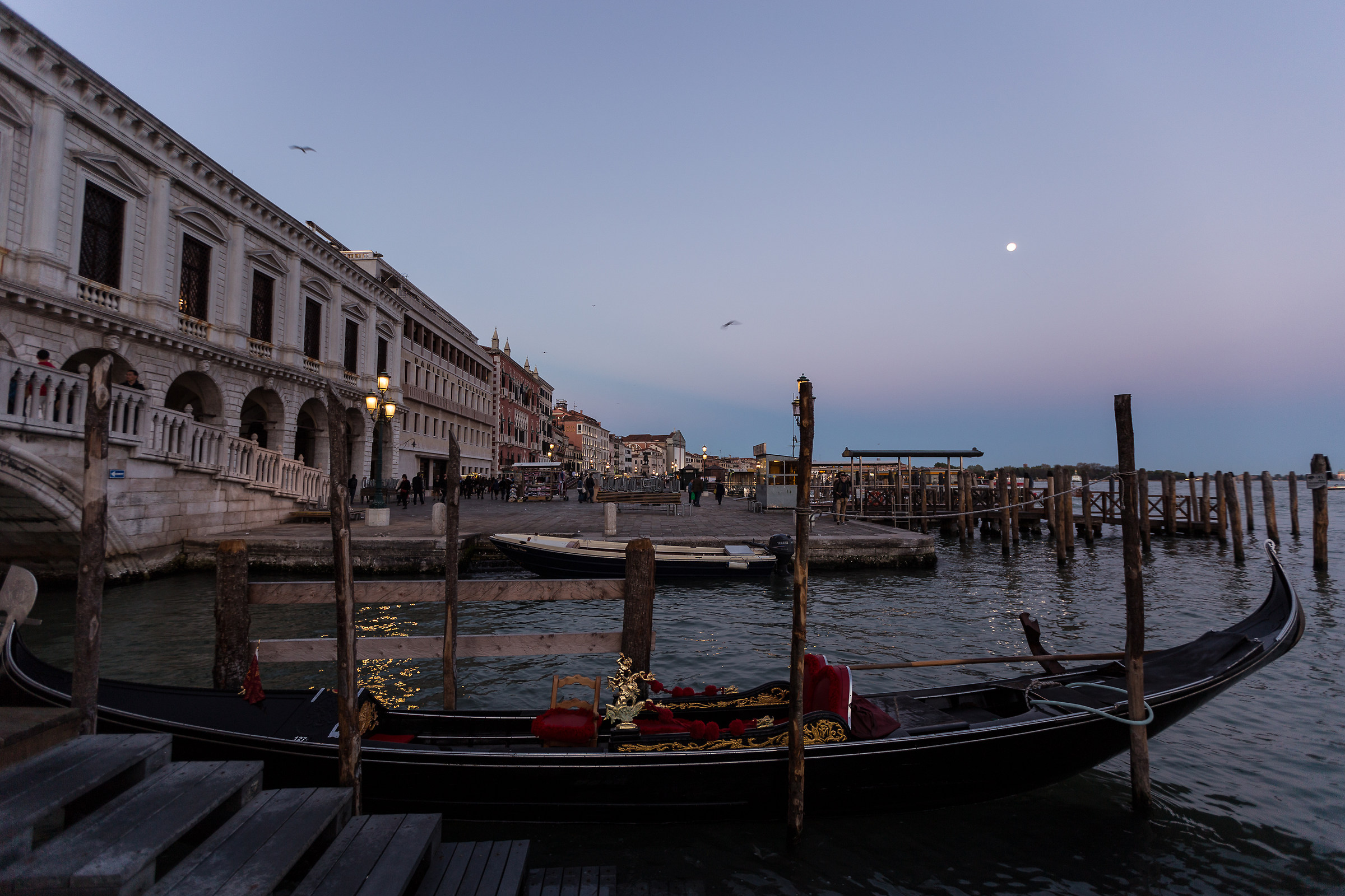 Resting in the moonlight