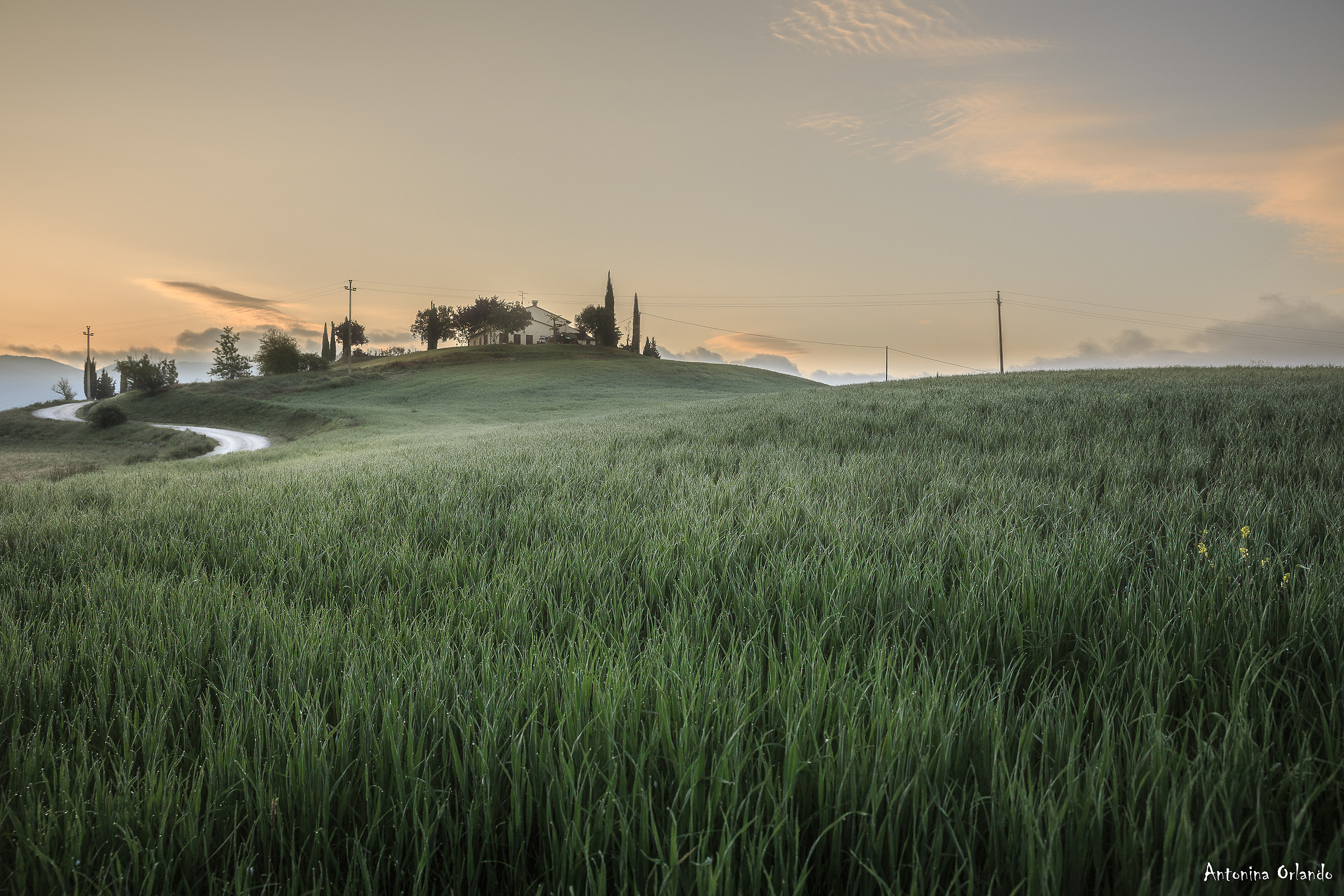 Nebbie e rugiada in Val d'Orcia .