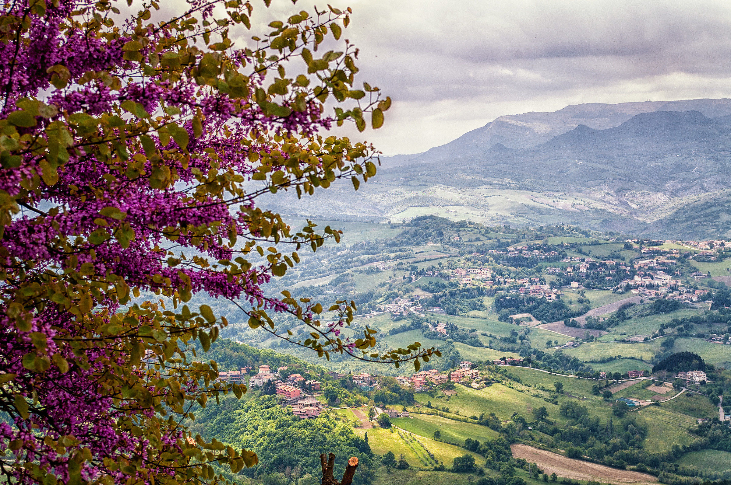 Italy: The Great Beauty
