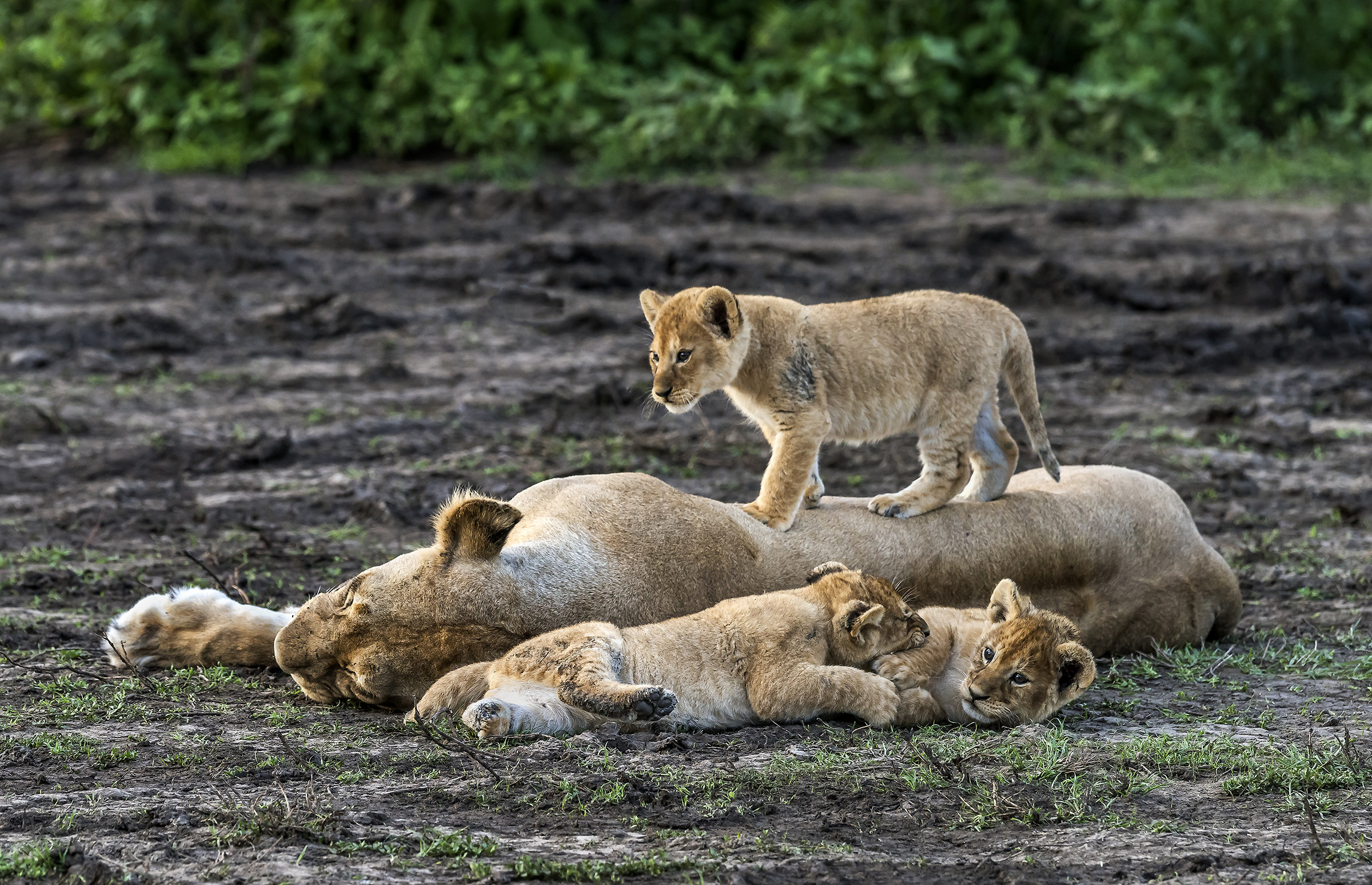 Tanzania 2017 - Con la mamma