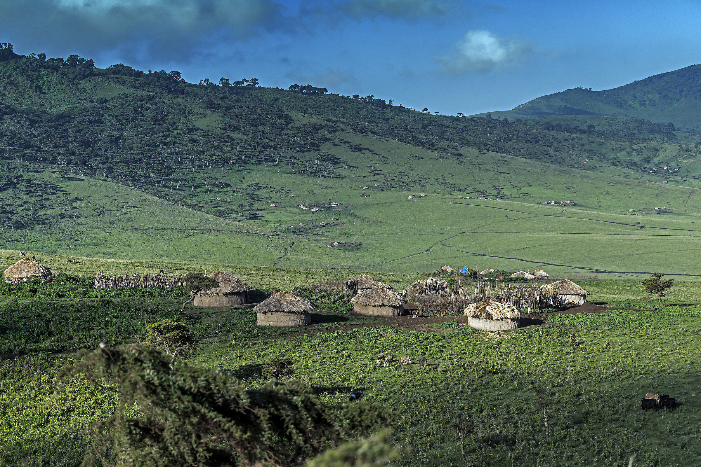 Tanzania 2017 - Villaggio Masai
