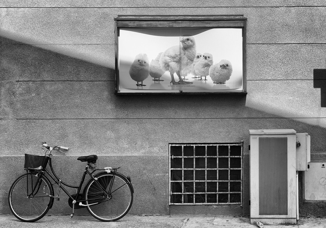 Black White in Cremona