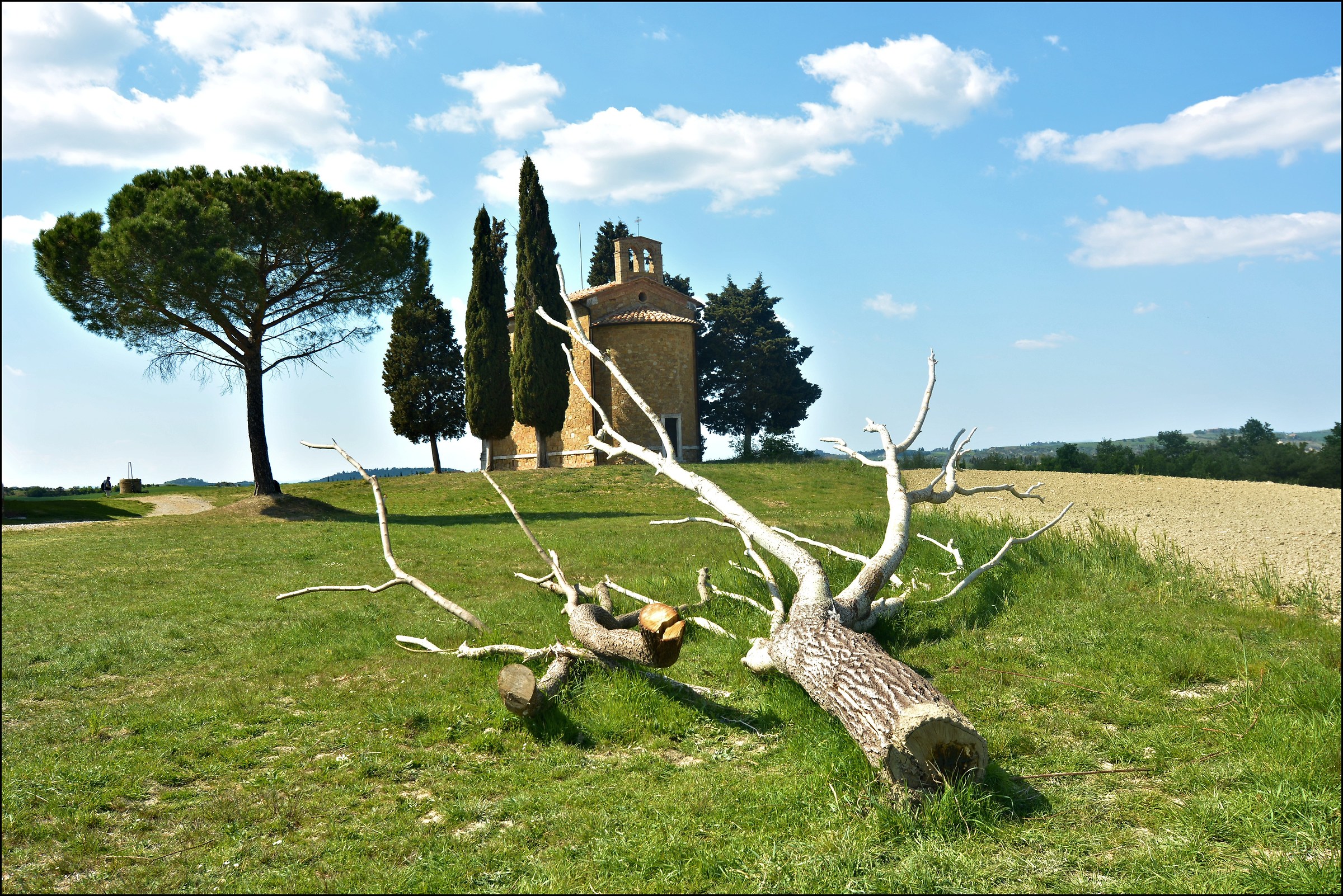 Il tronco e la Cappella Vitaleta
