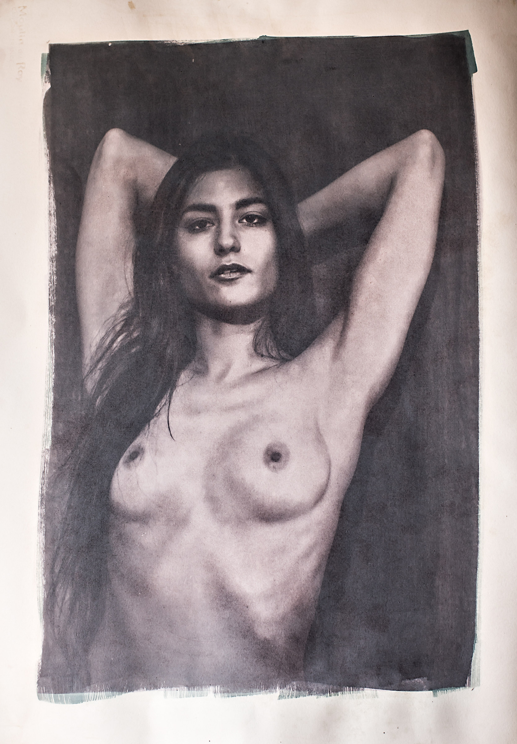 Cyanotype # 5 Cyanotype is turned into tannic acid