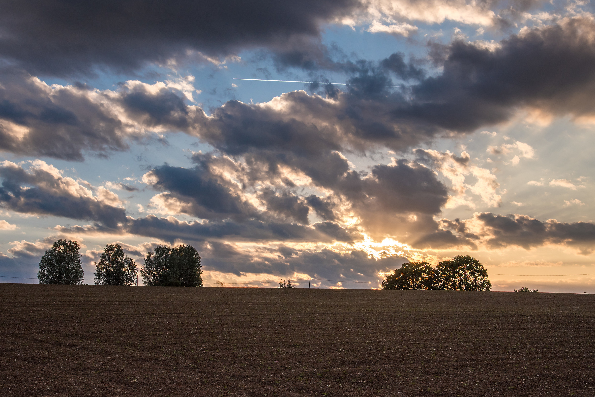 not 'the Tuscan :-)))