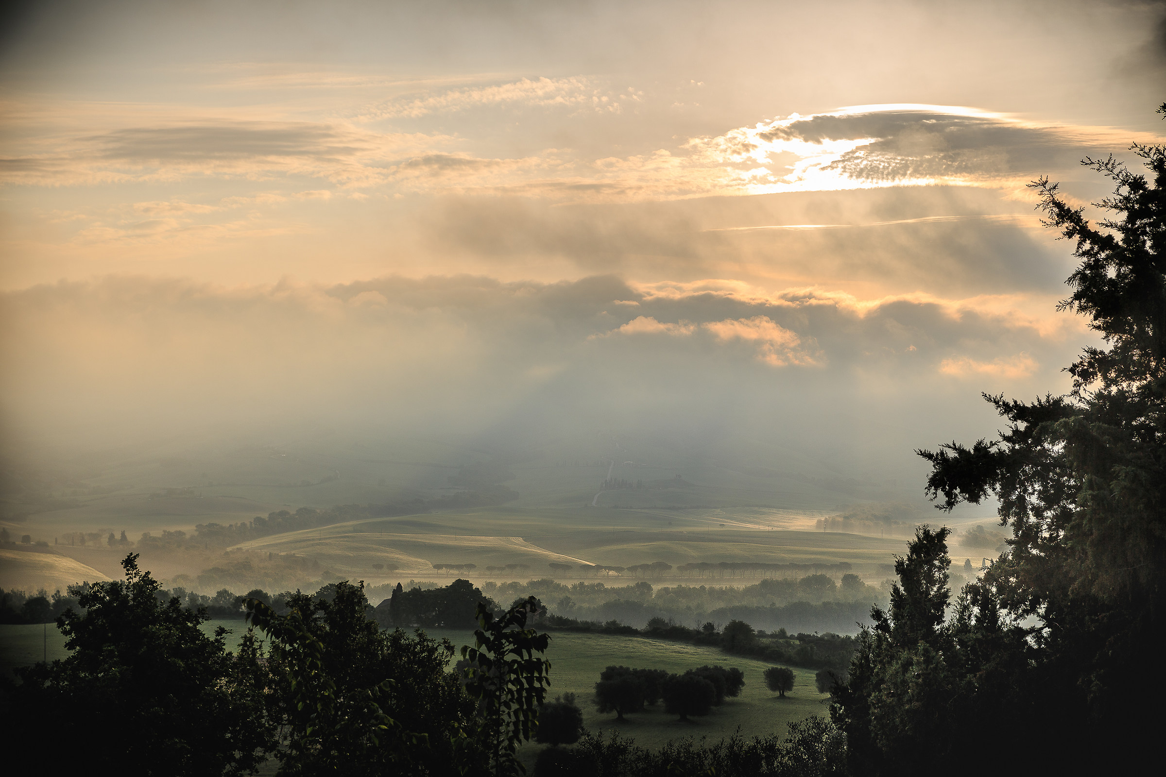 Il miracolo del risveglio .