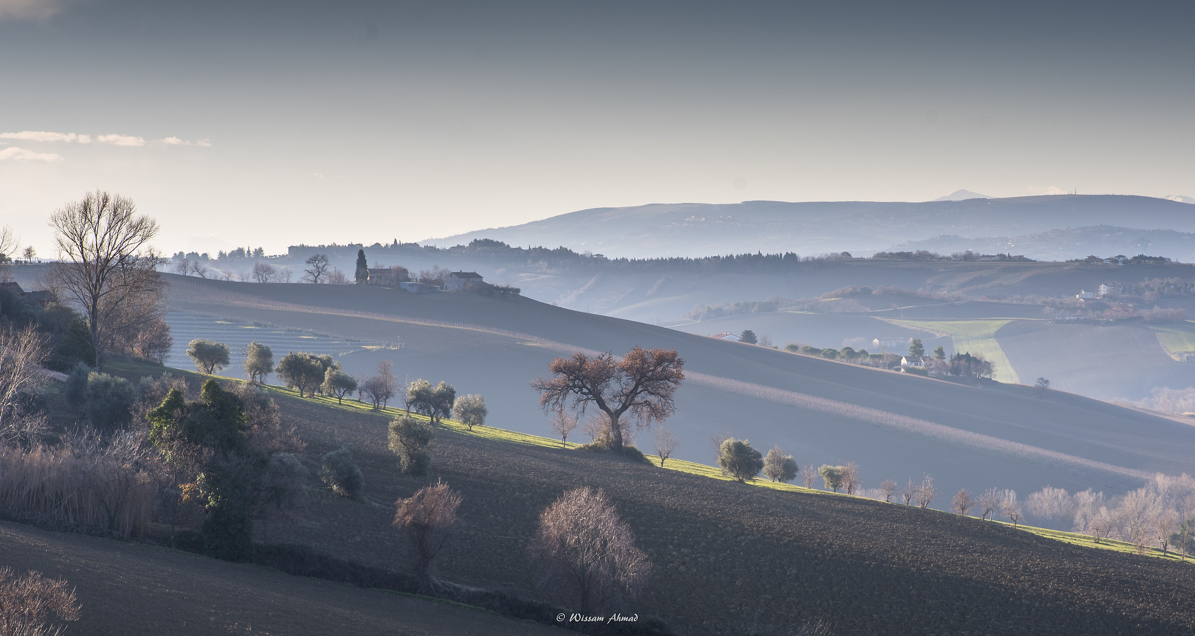 Colline di Belvedere Ostrense