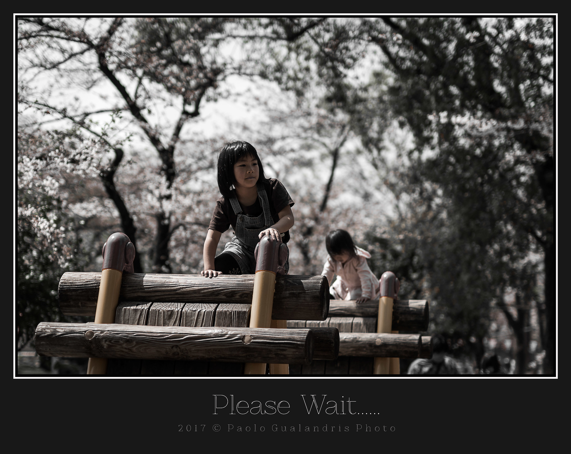 Please Wait ....