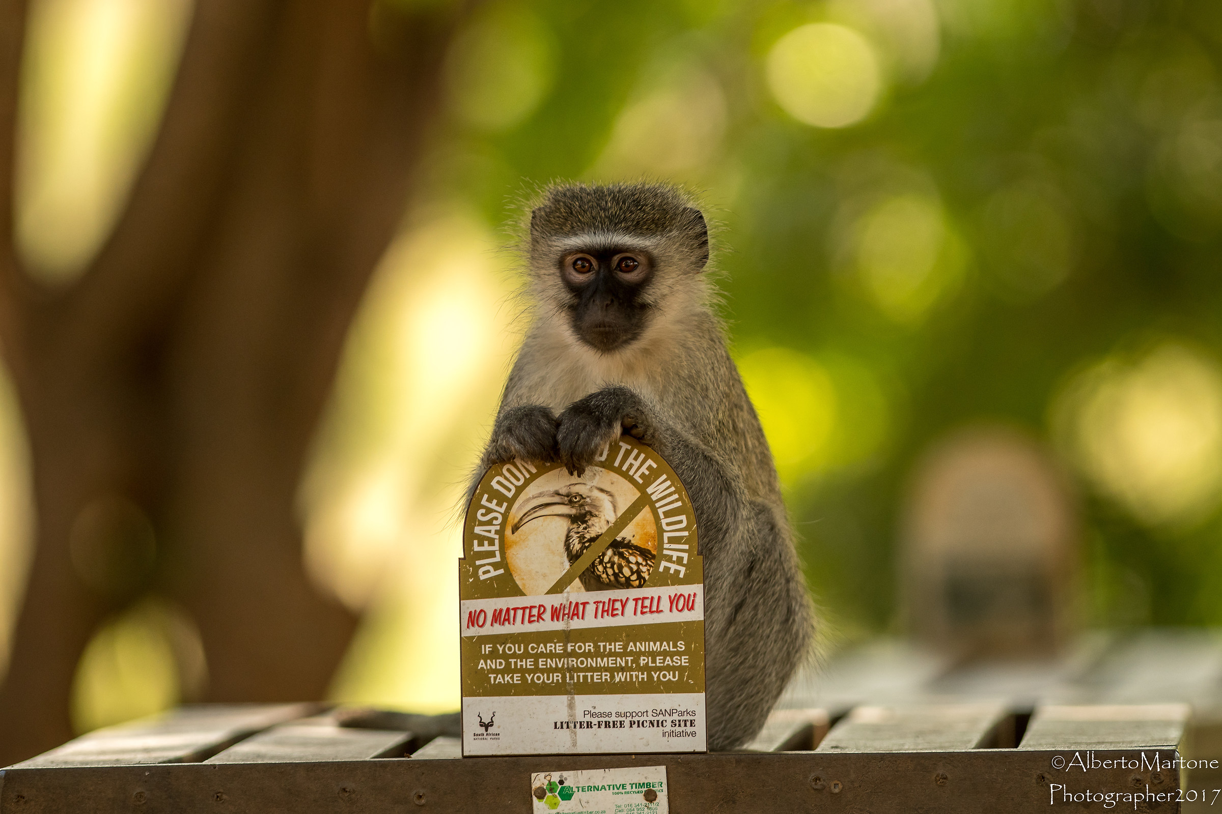 Do not feed the animals