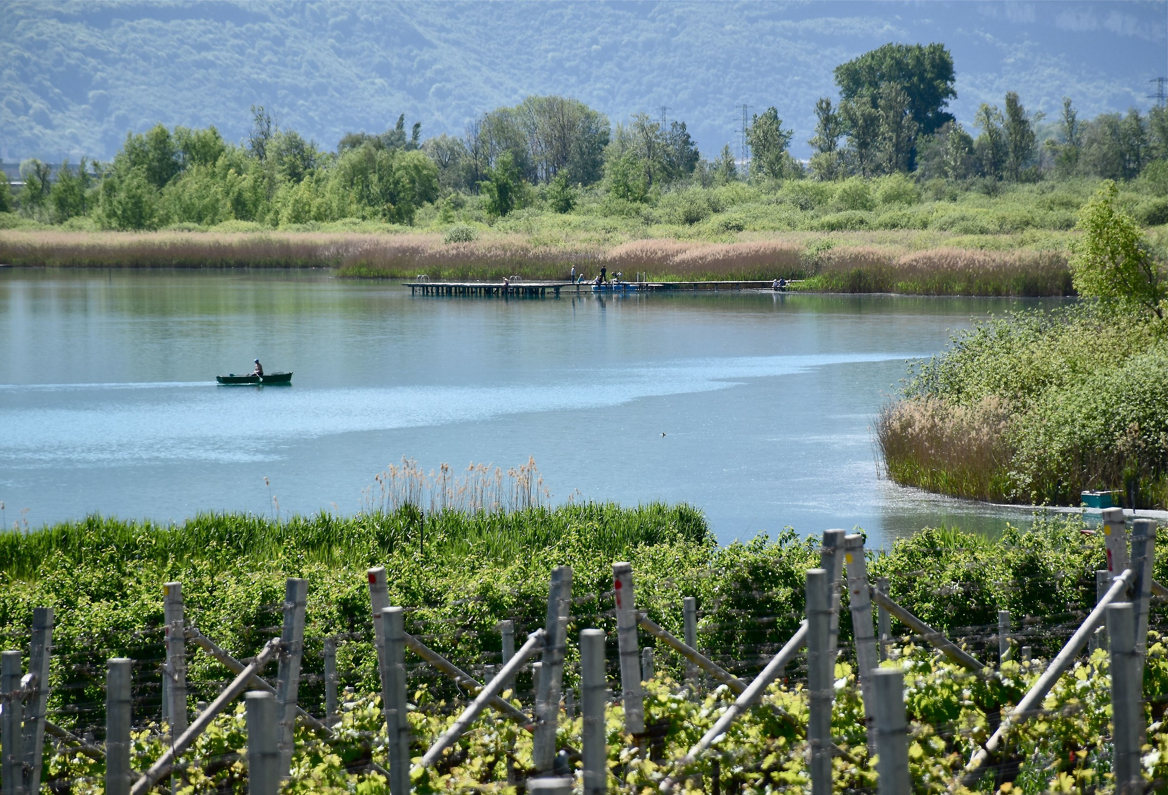 Lake Caldaro south