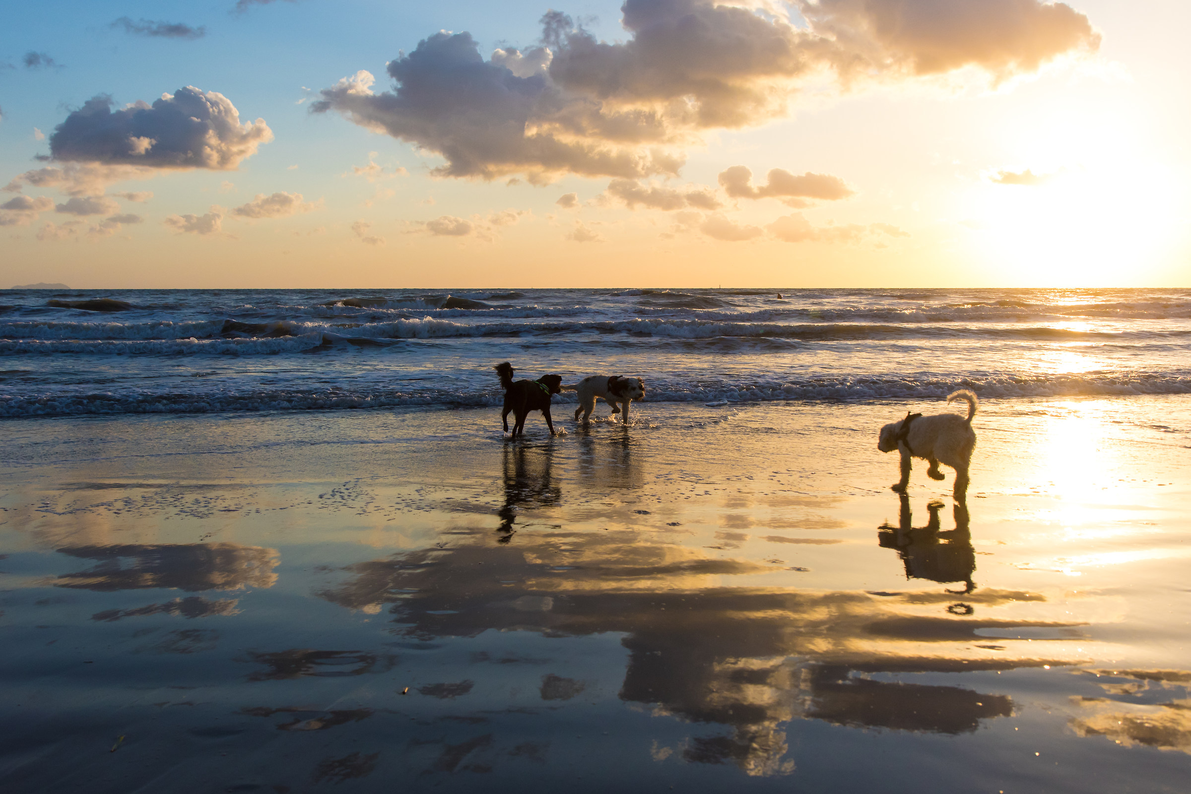 Pollon, Sven e Matilda