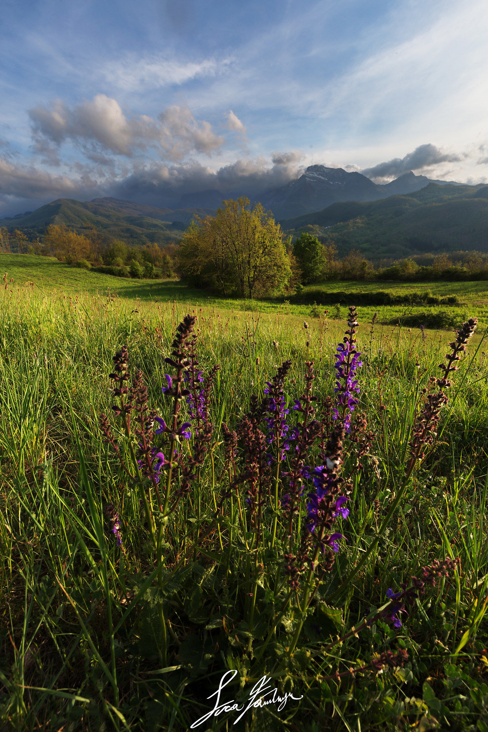 Spring in Garfagnana!
