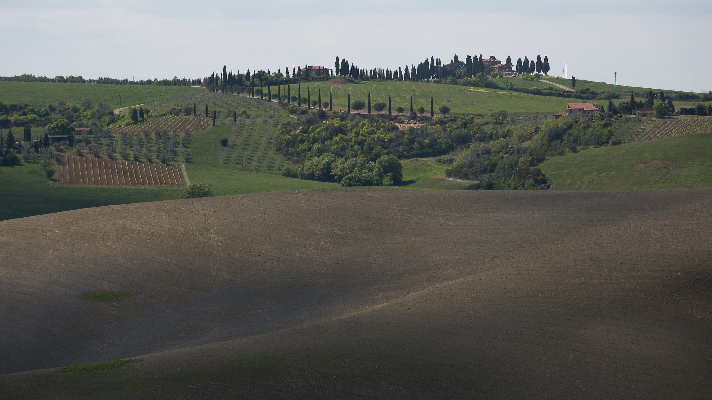 Tra dune e cipressi !!