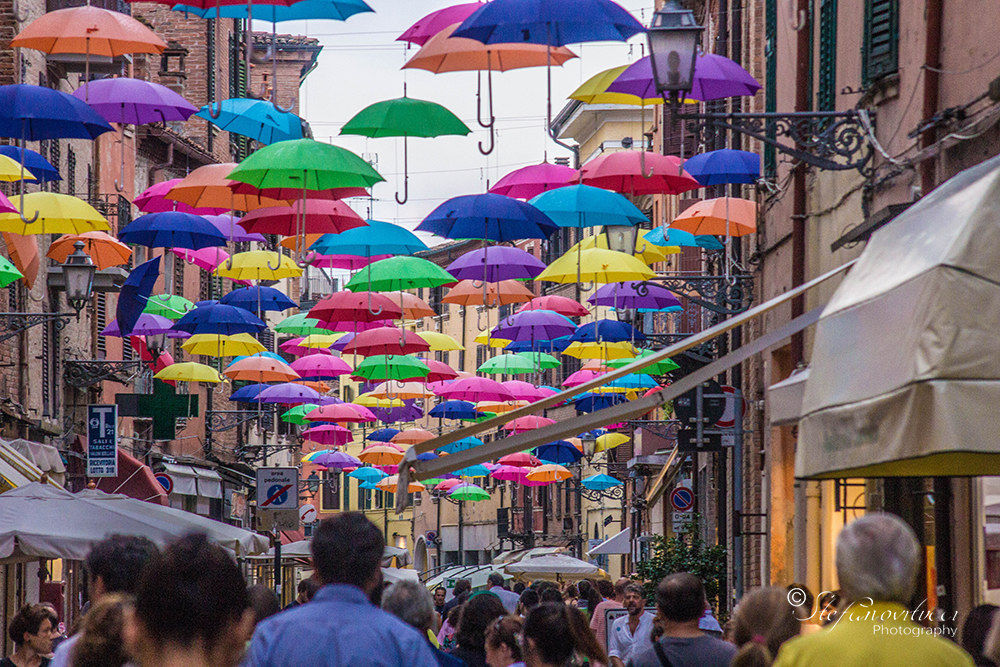 Ferrara ed i suoi mille colori
