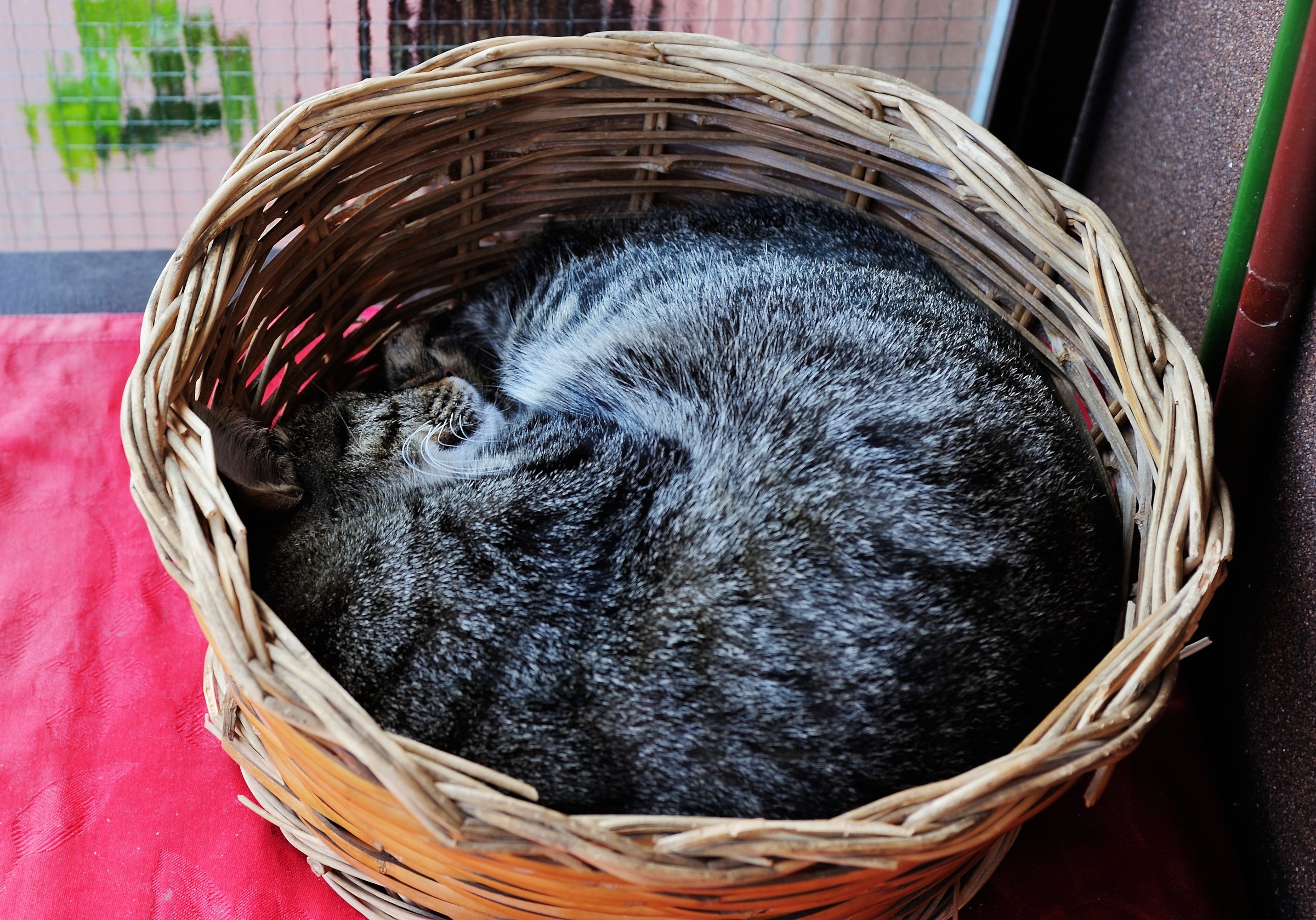 You wondered why certain baskets are round?