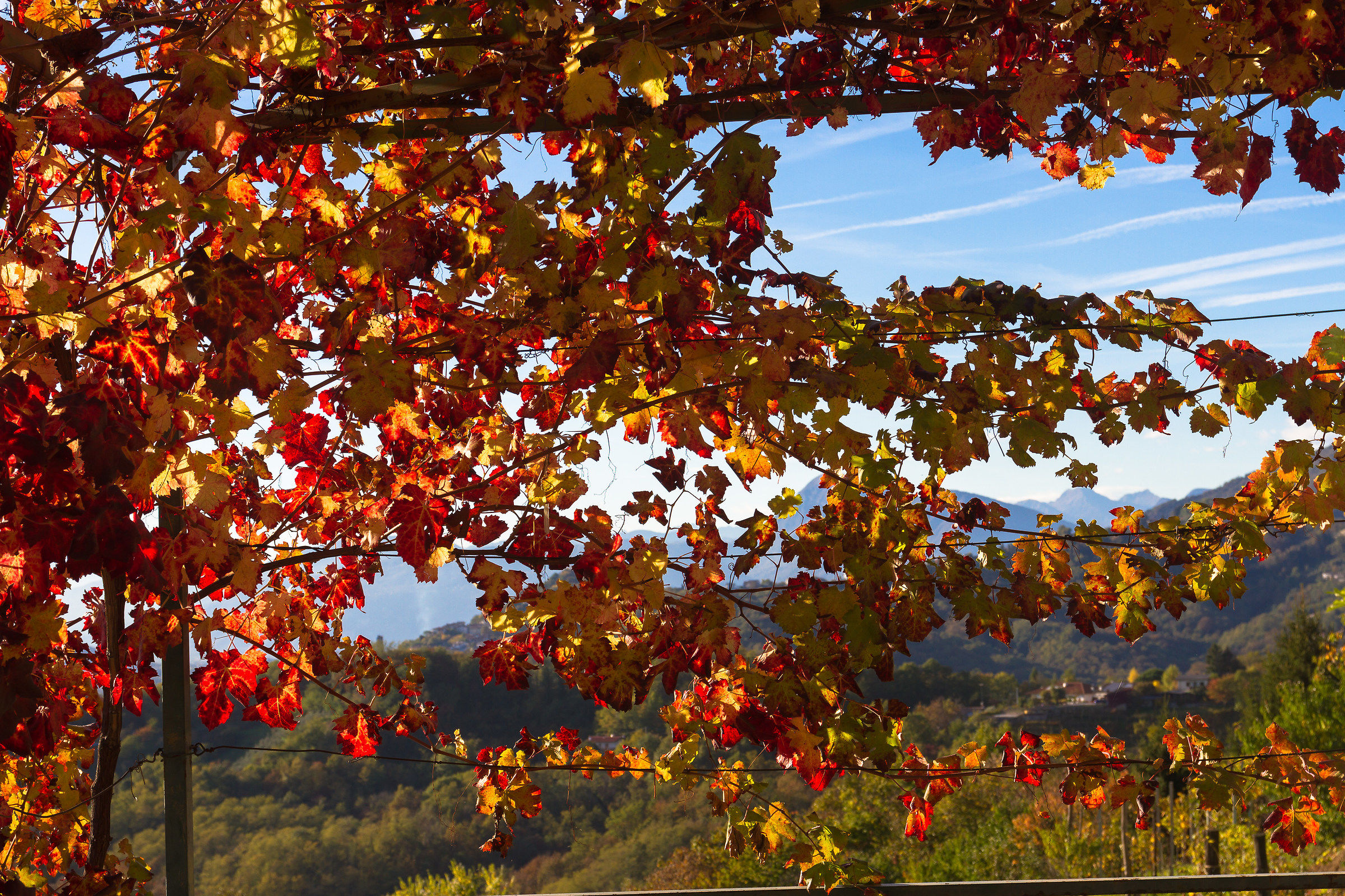 Splendore e caducità