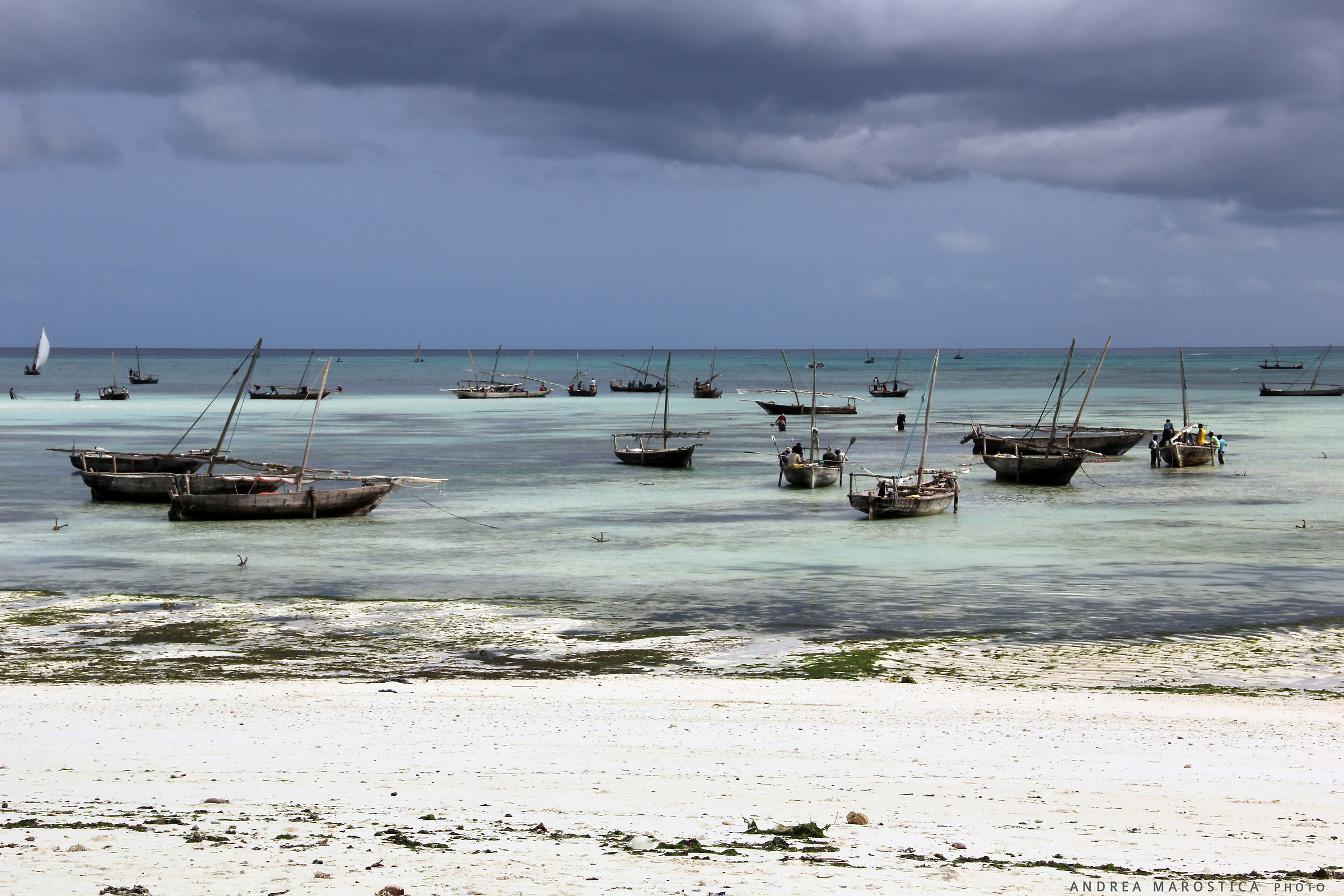 Pwani Mchangani: barche