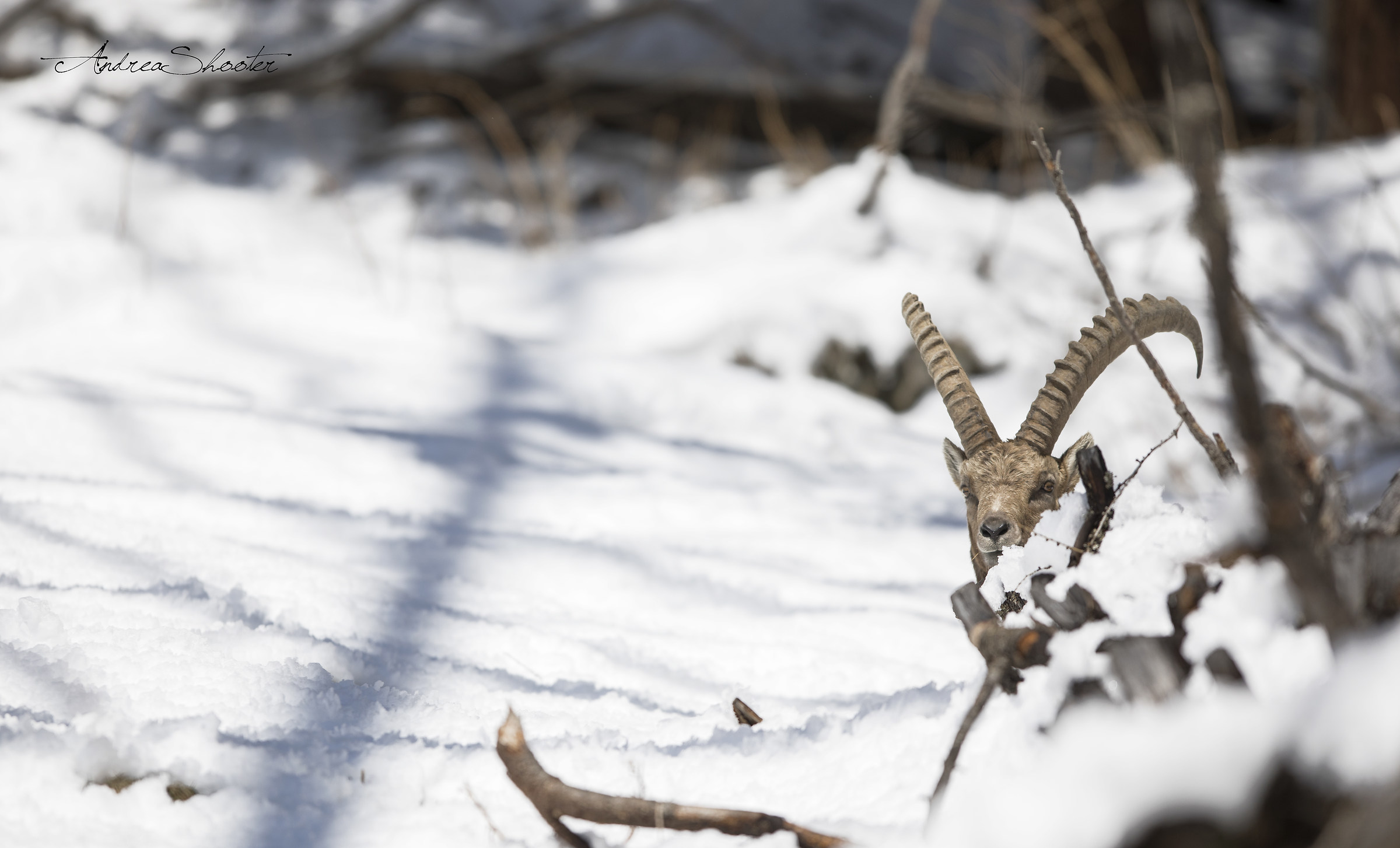 playing hide and seek .. :) .. :) ..