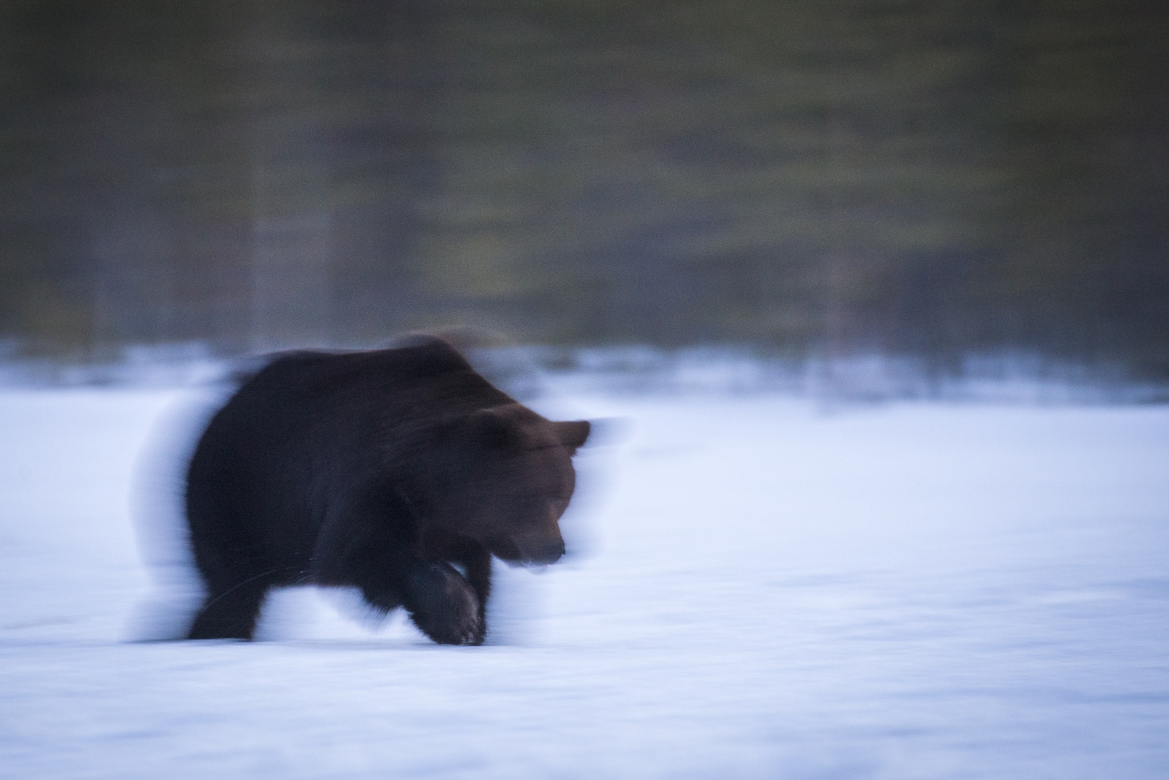 Lens steps in the dark