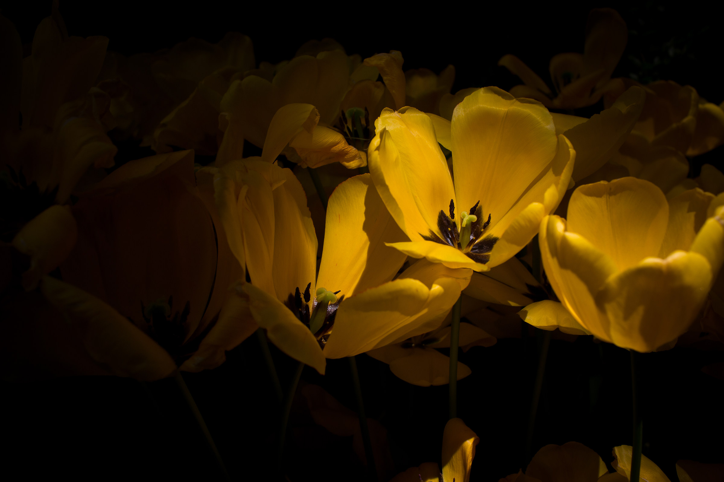 Diversi minuti la luce del sole 2