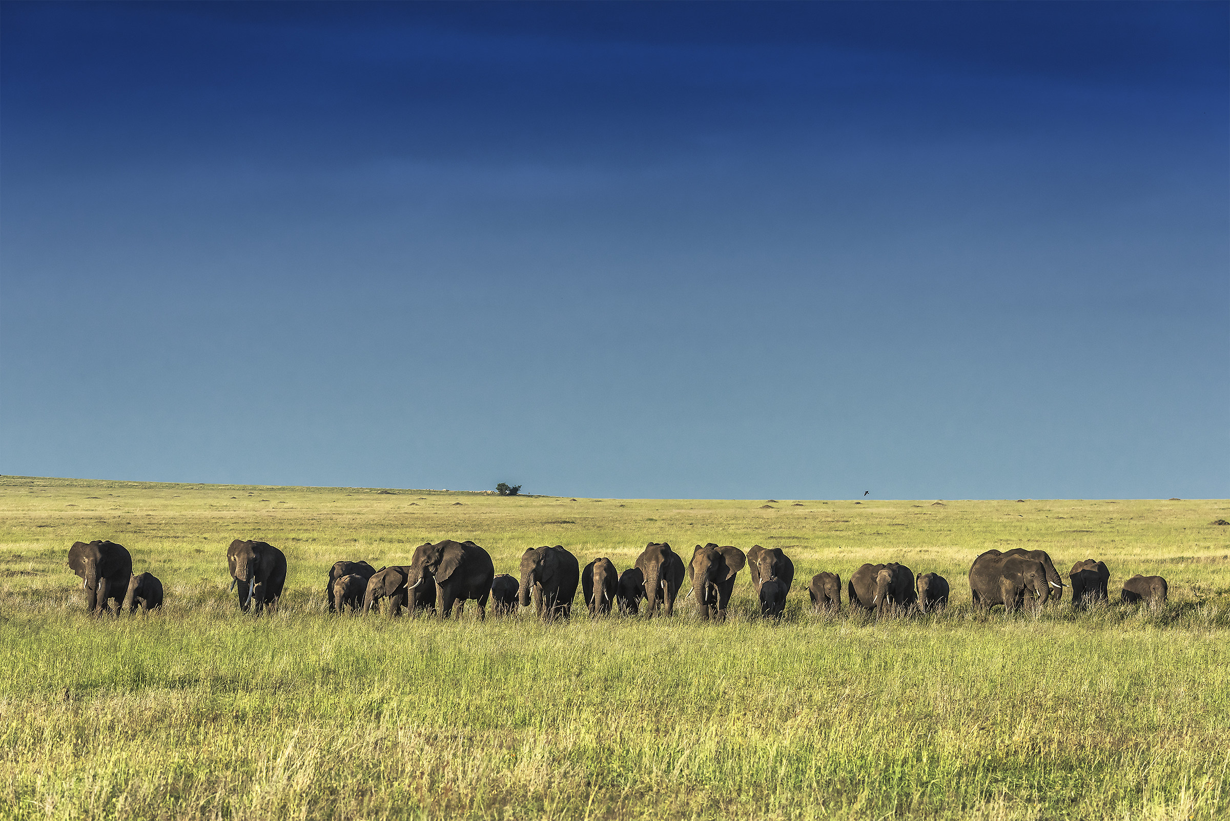 Tanzania 2017 - Orizonti