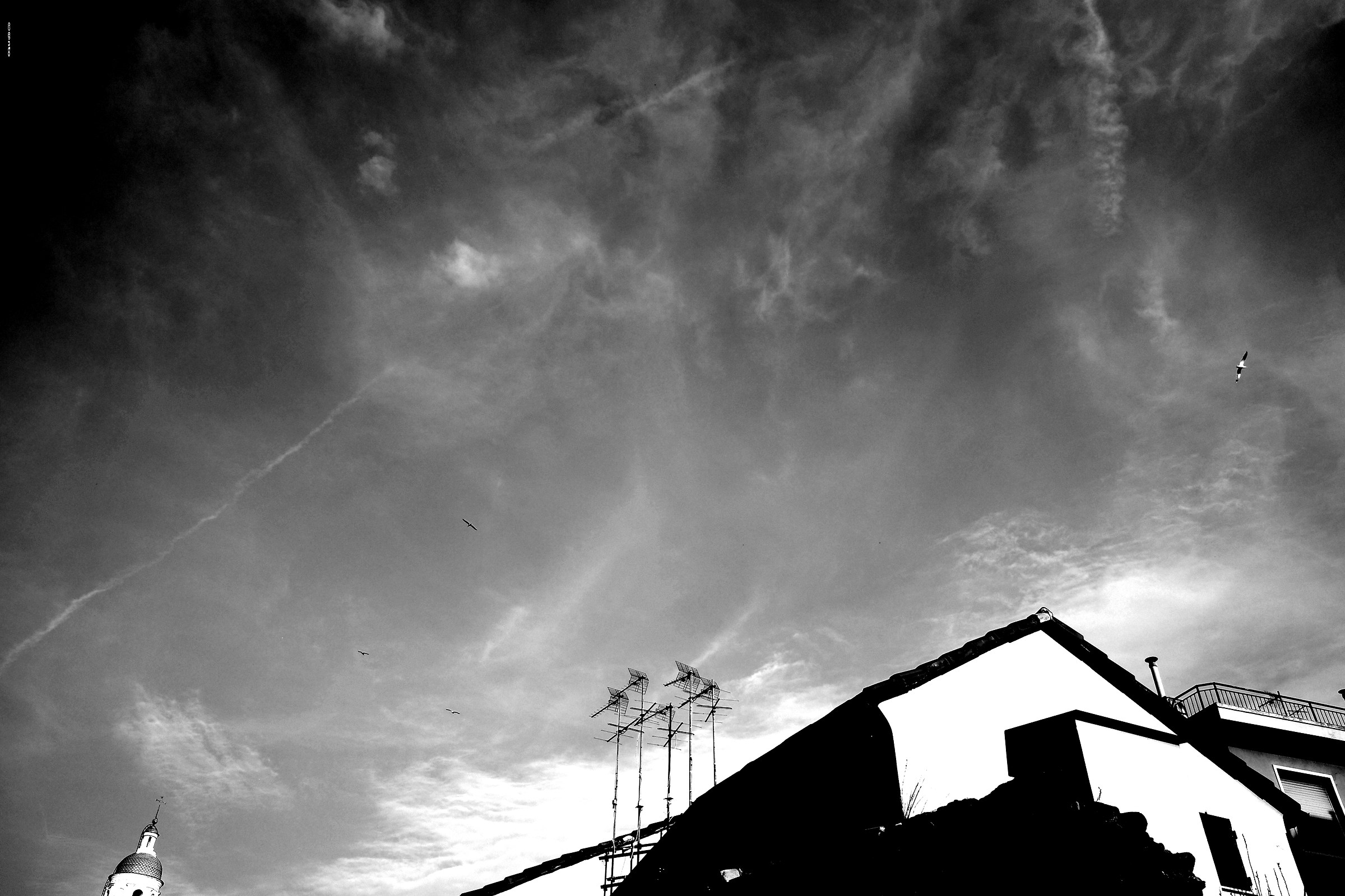 alzando gli occhi al cielo