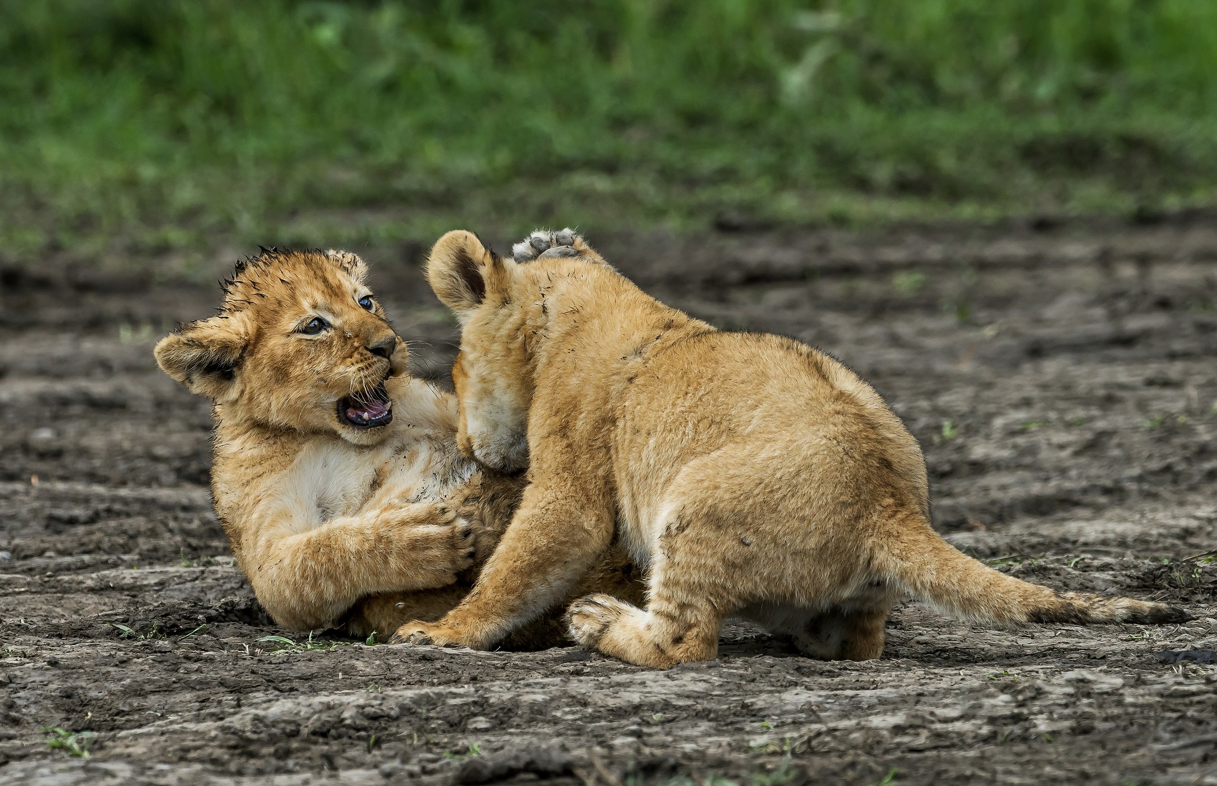 Tanzania 2017 - Giochi