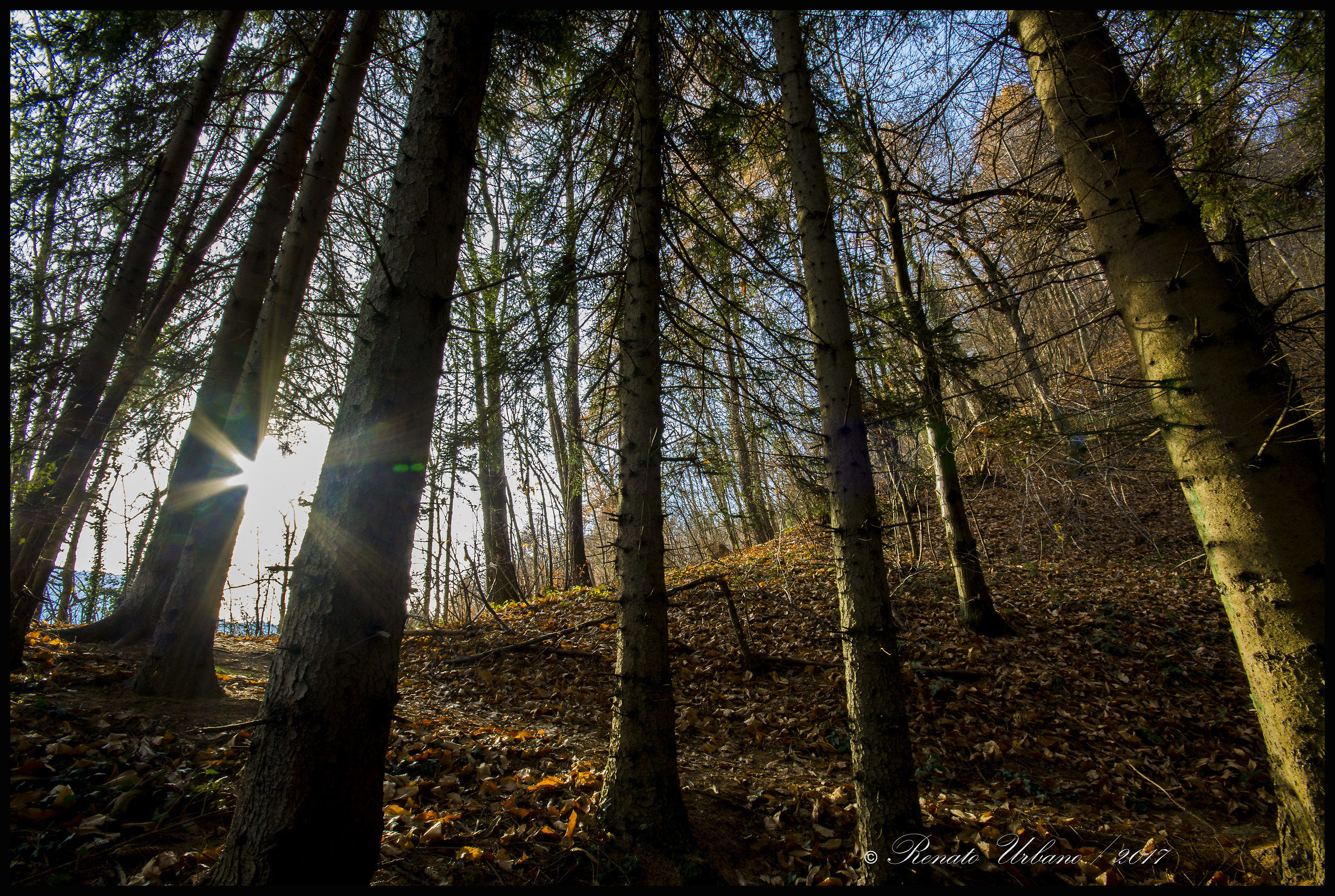 The spark of the sun