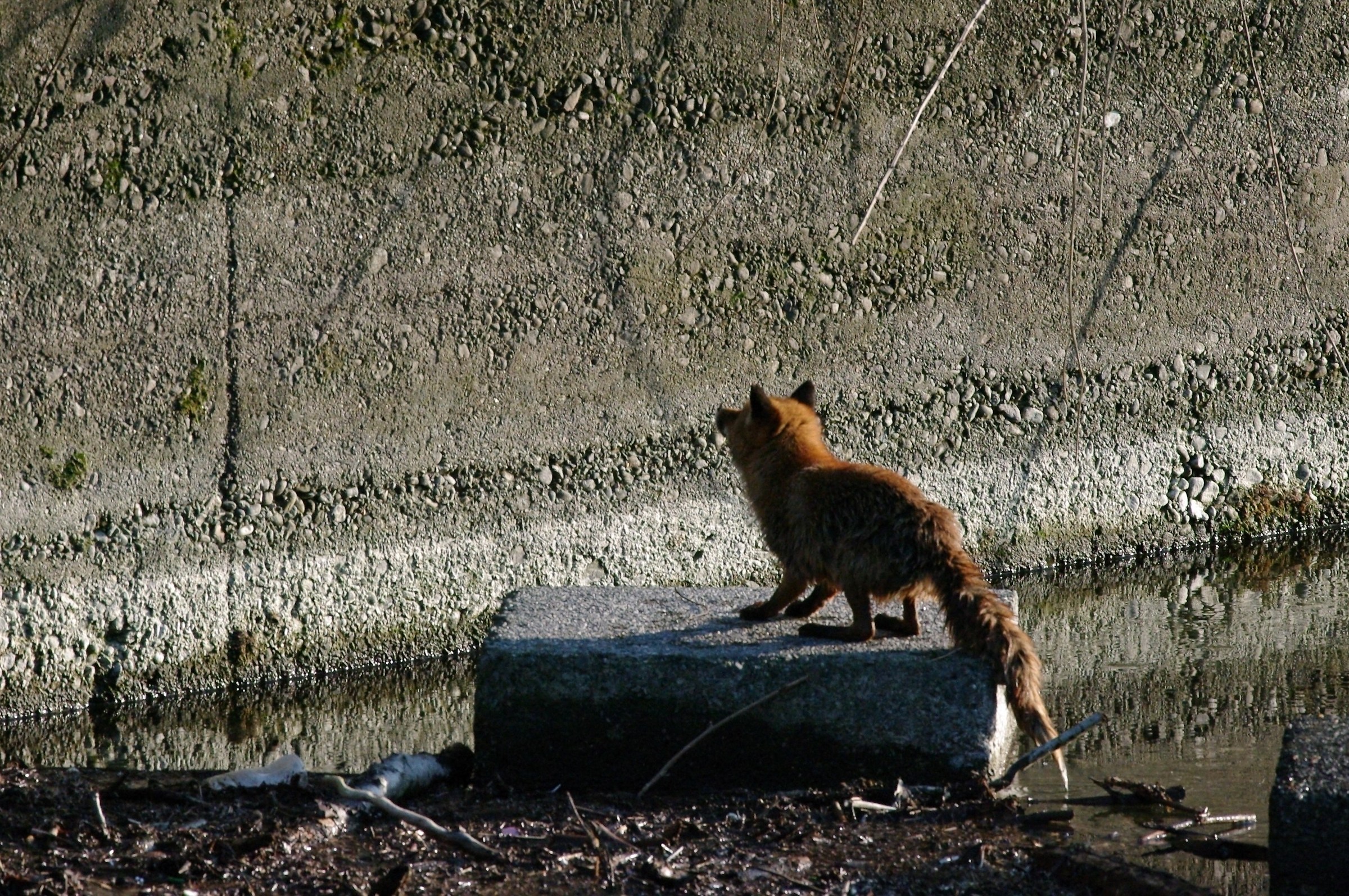 Articolo: www.juzaphoto.com/topic2.php?it=2319588&l=it