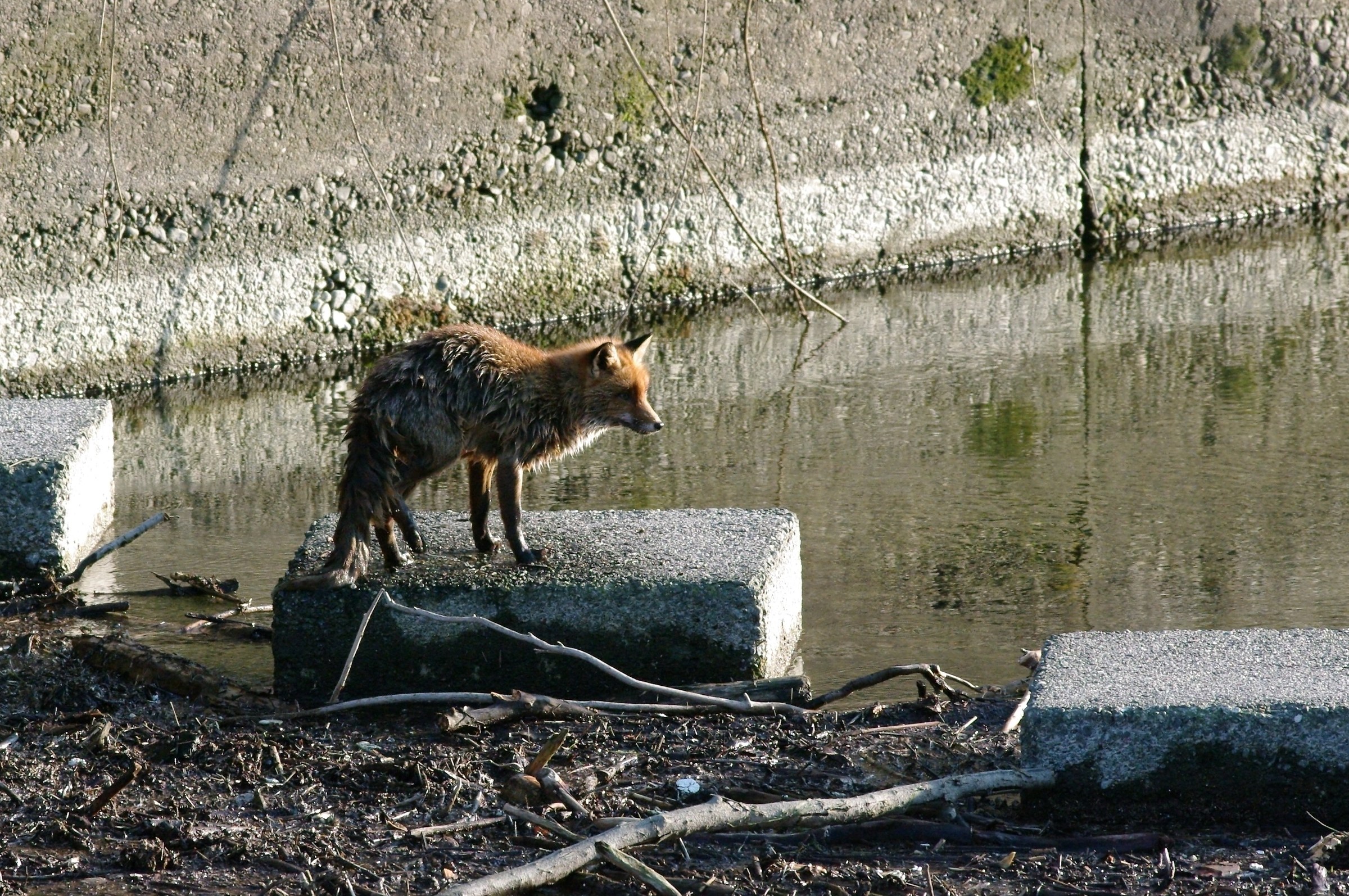 Document Photo - see Article