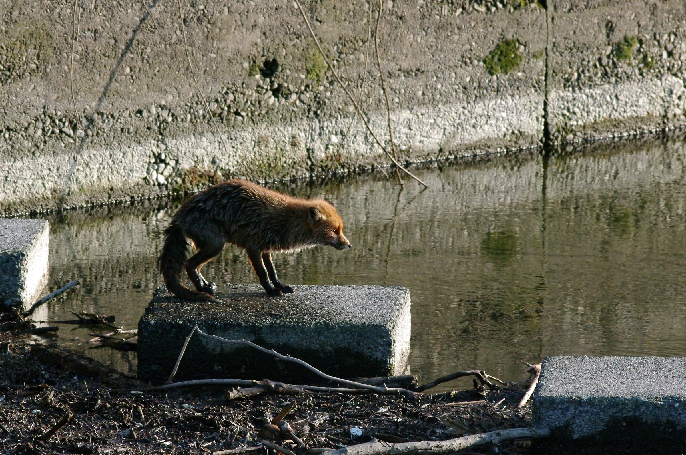 Articolo: www.juzaphoto.com/topic2.php?it=2319588&l=it