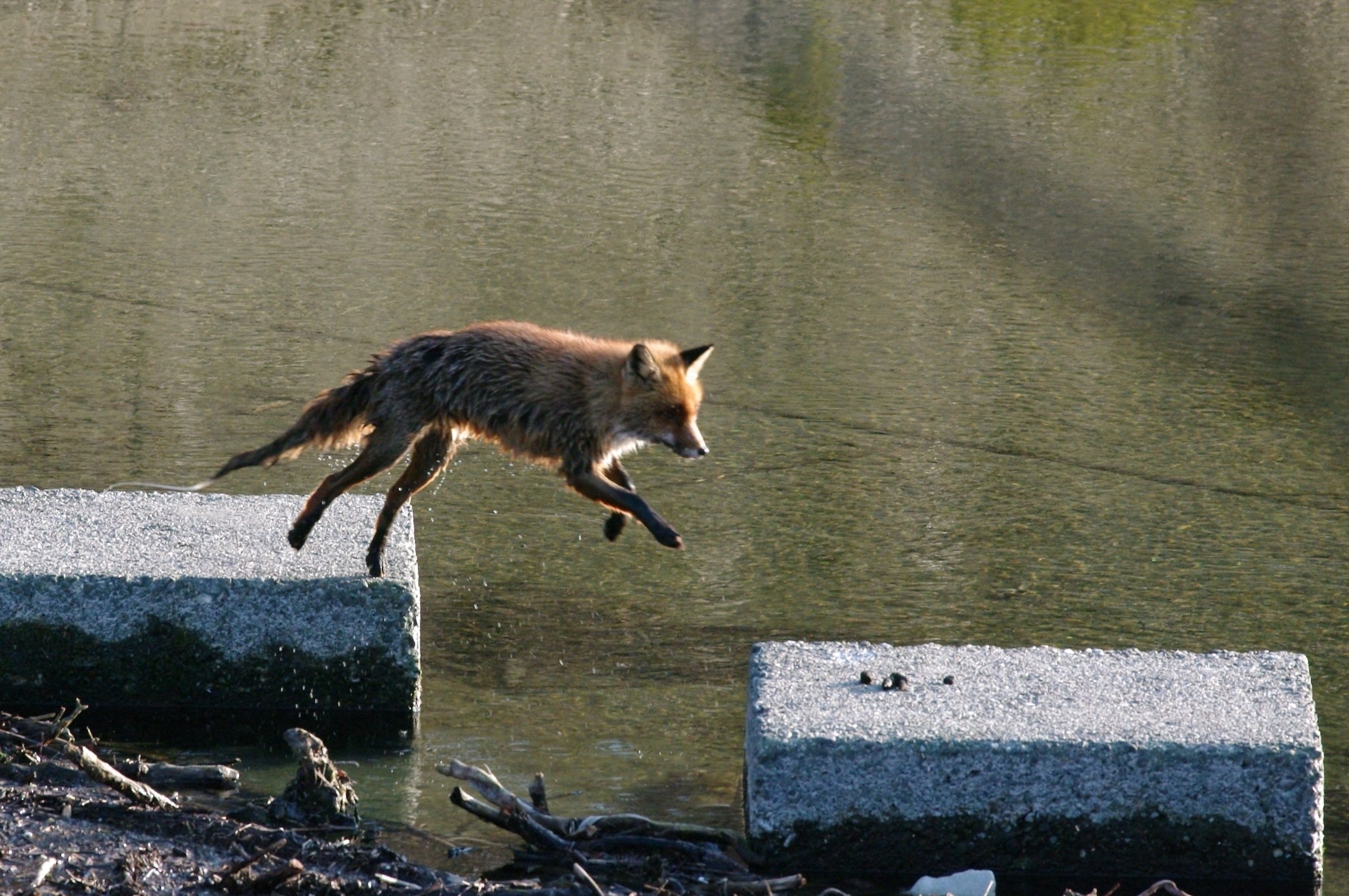 Document Photo - see Article