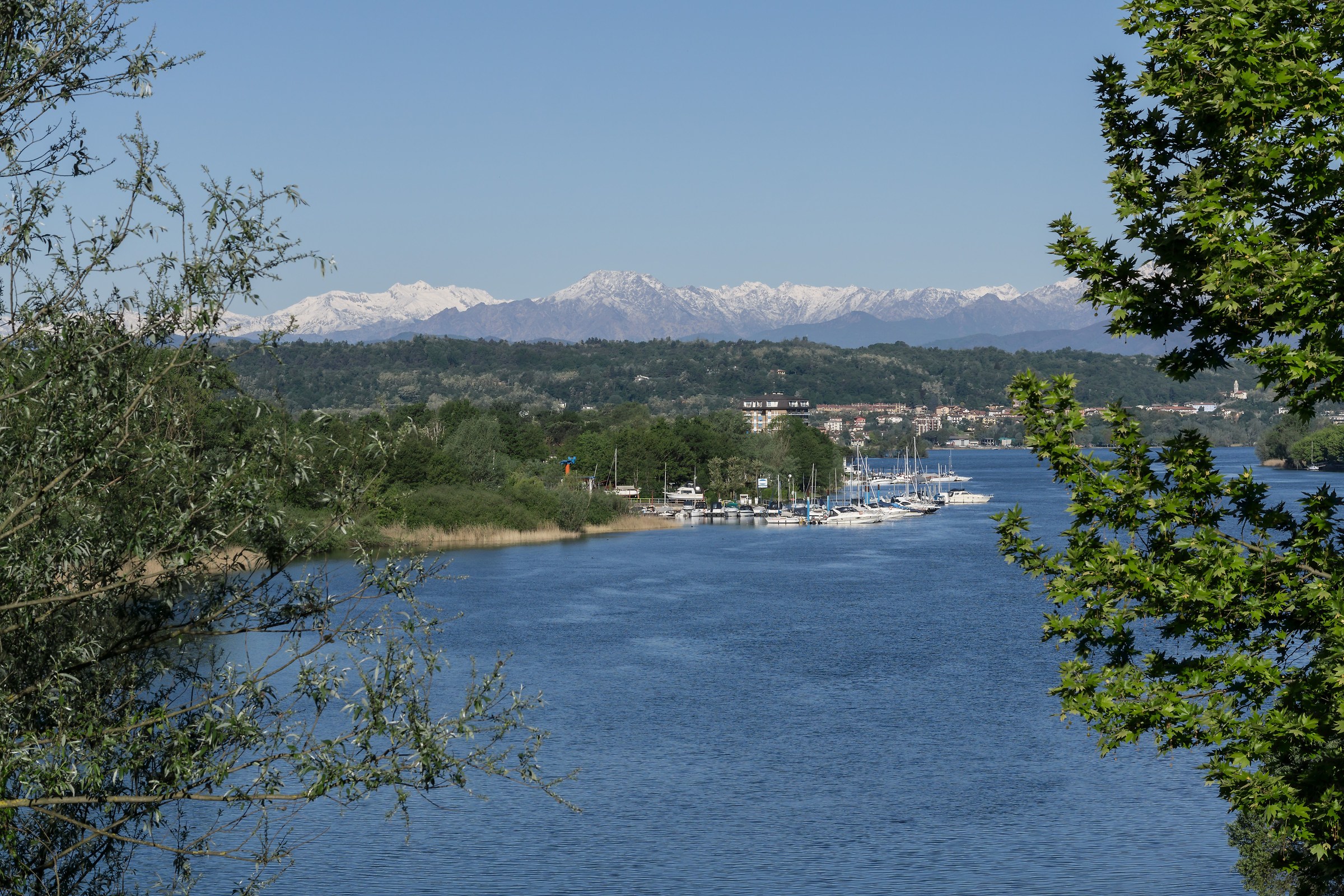 Mattinata di fine aprile - 4