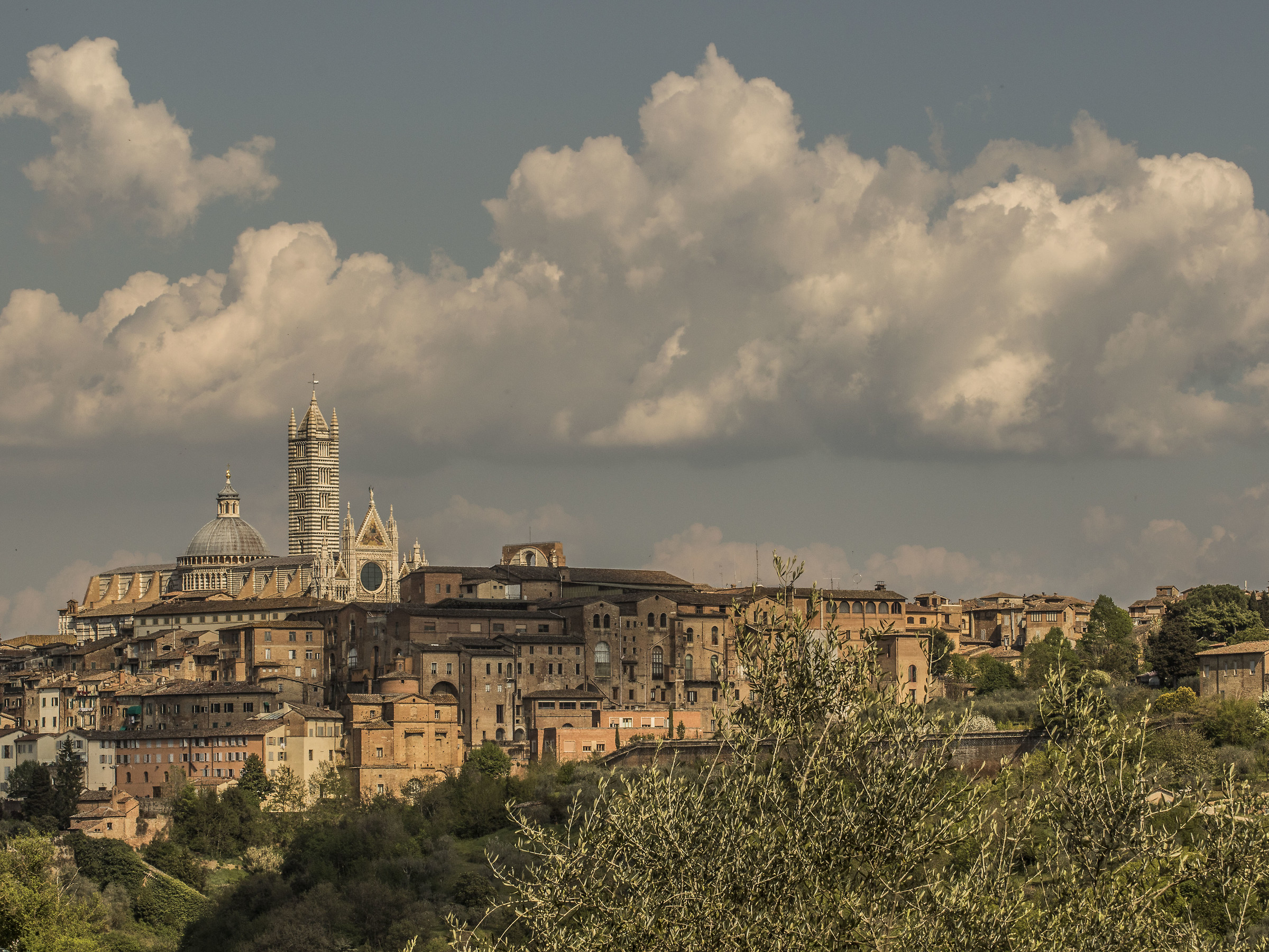 Siena