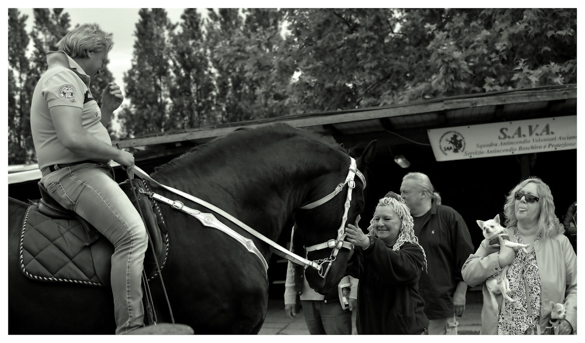 Bipedi e Quadrupedi...