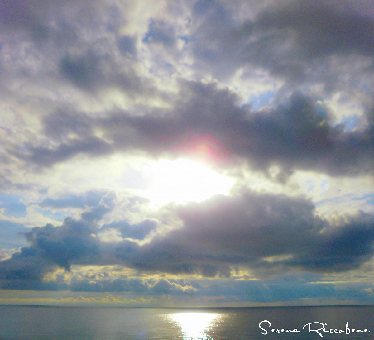 Reflections letojannesi