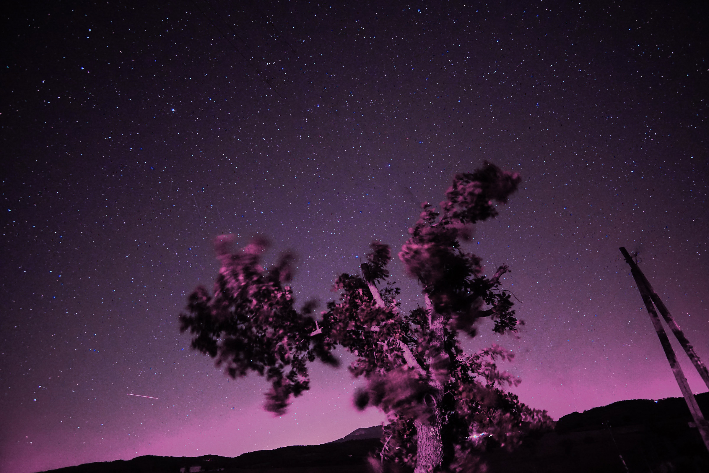 Infrared on Mount Amiata